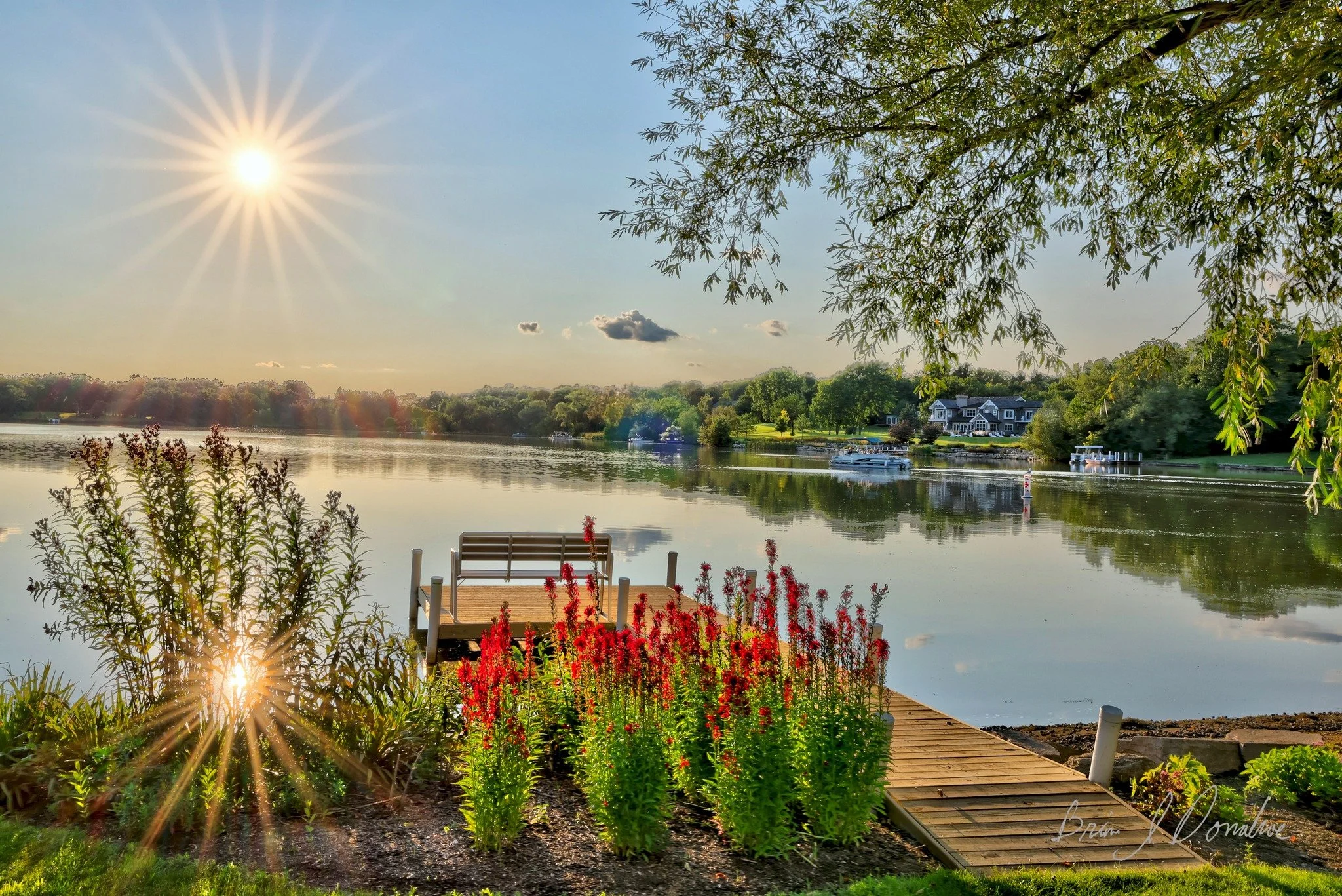 A peaceful lakeside scene at sunset showing a wooden dock with a bench, colorful flowers, and green foliage in the foreground. The calm lake reflects the sky and surrounding trees, with houses and boats visible in the distance and the sun shining bri