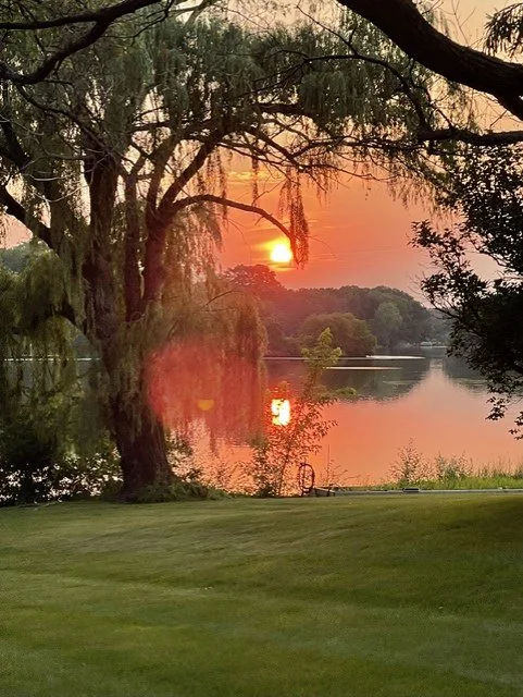Sunset over Countryside Lake framed by trees with overhanging branches, with reflections on the water and a grassy foreground.