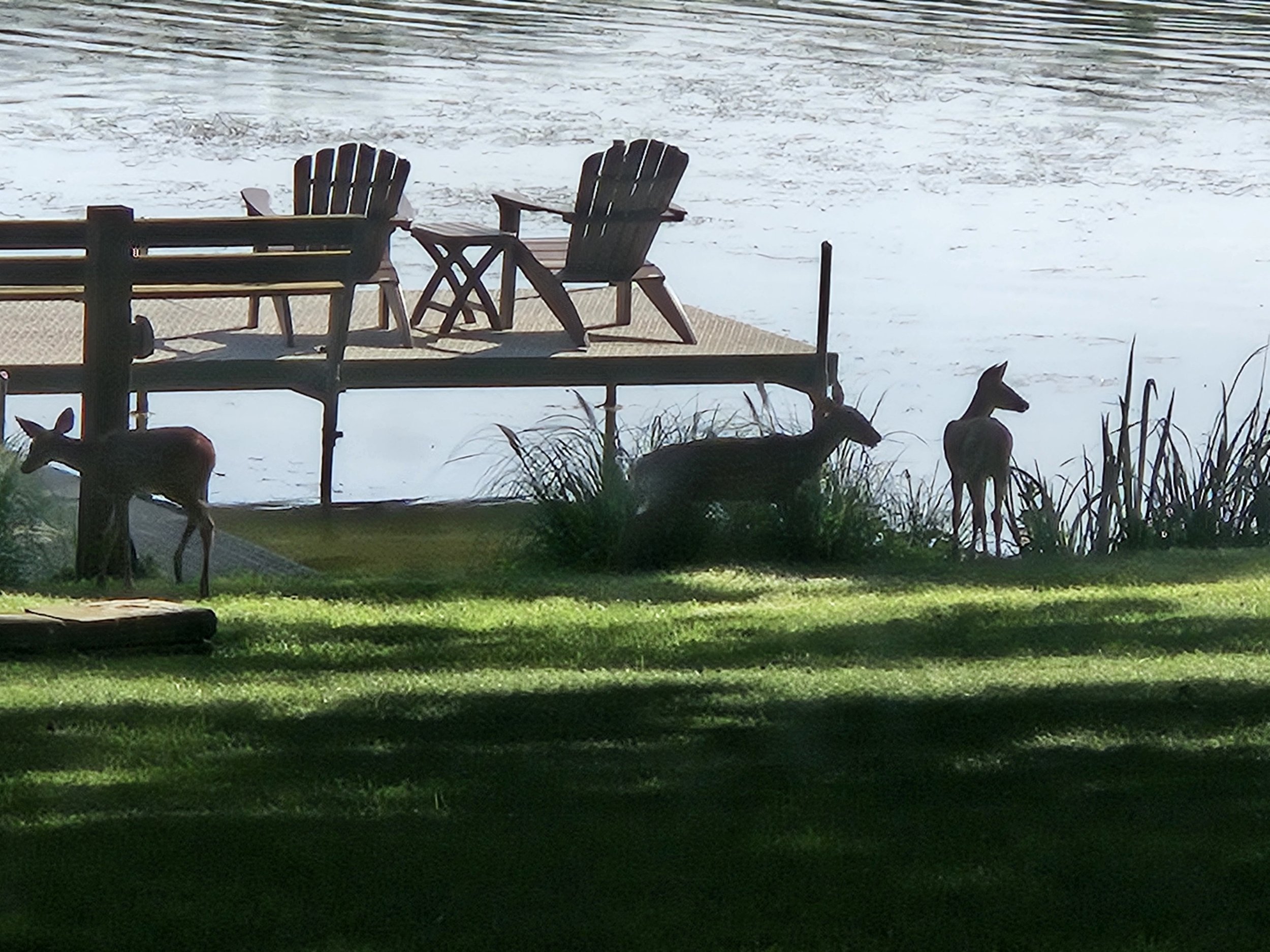 20260730_163913.jpg