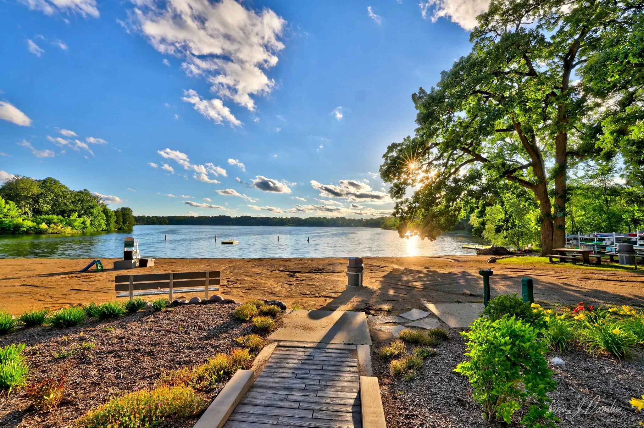 A serene Countryside Lake scene during sunset with a sandy beach, a large green tree partially blocking the sun, a wooden pathway, and lush green plants in the foreground. The calm lake reflects the sky with scattered clouds.
