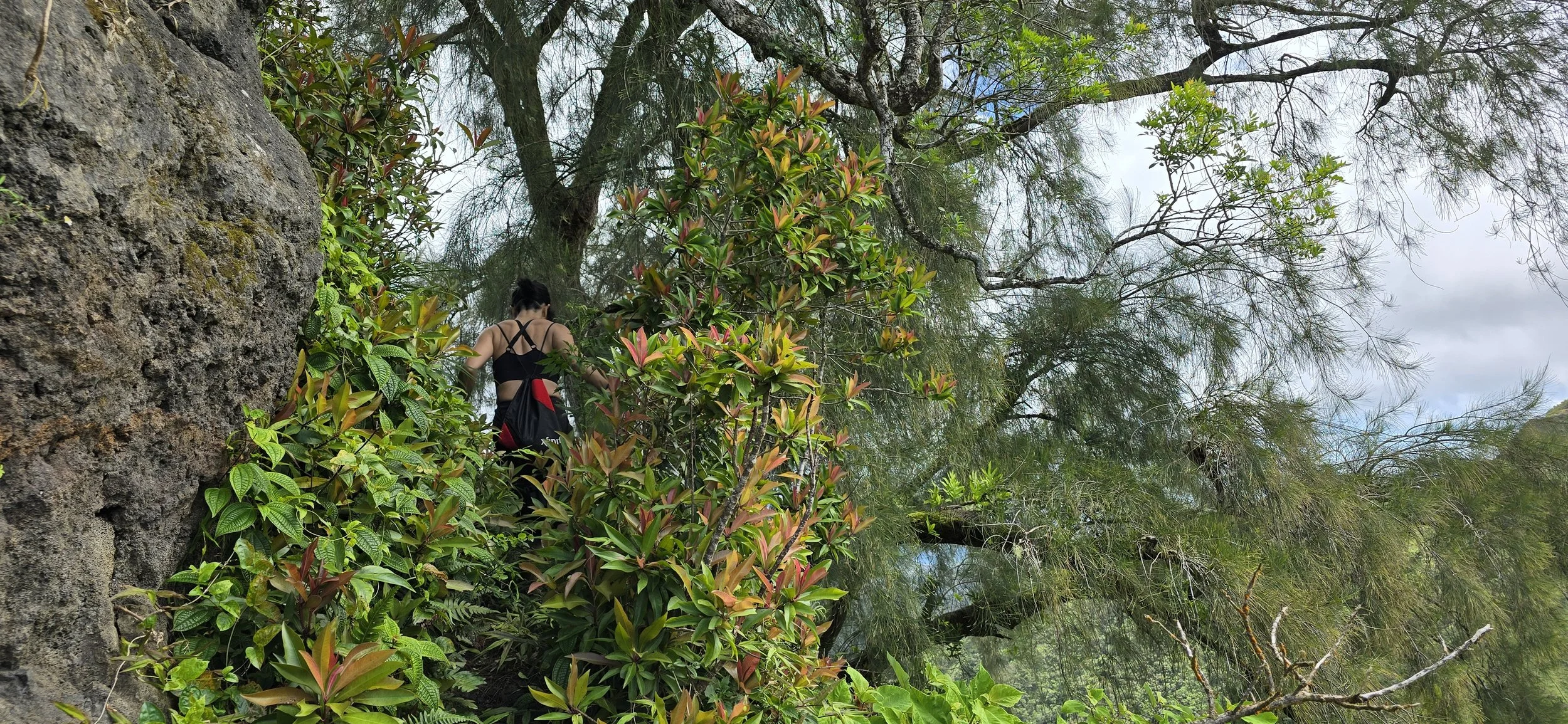A person with dark hair wearing a black top and carrying a backpack, walking through dense green foliage and trees on a hiking trail.