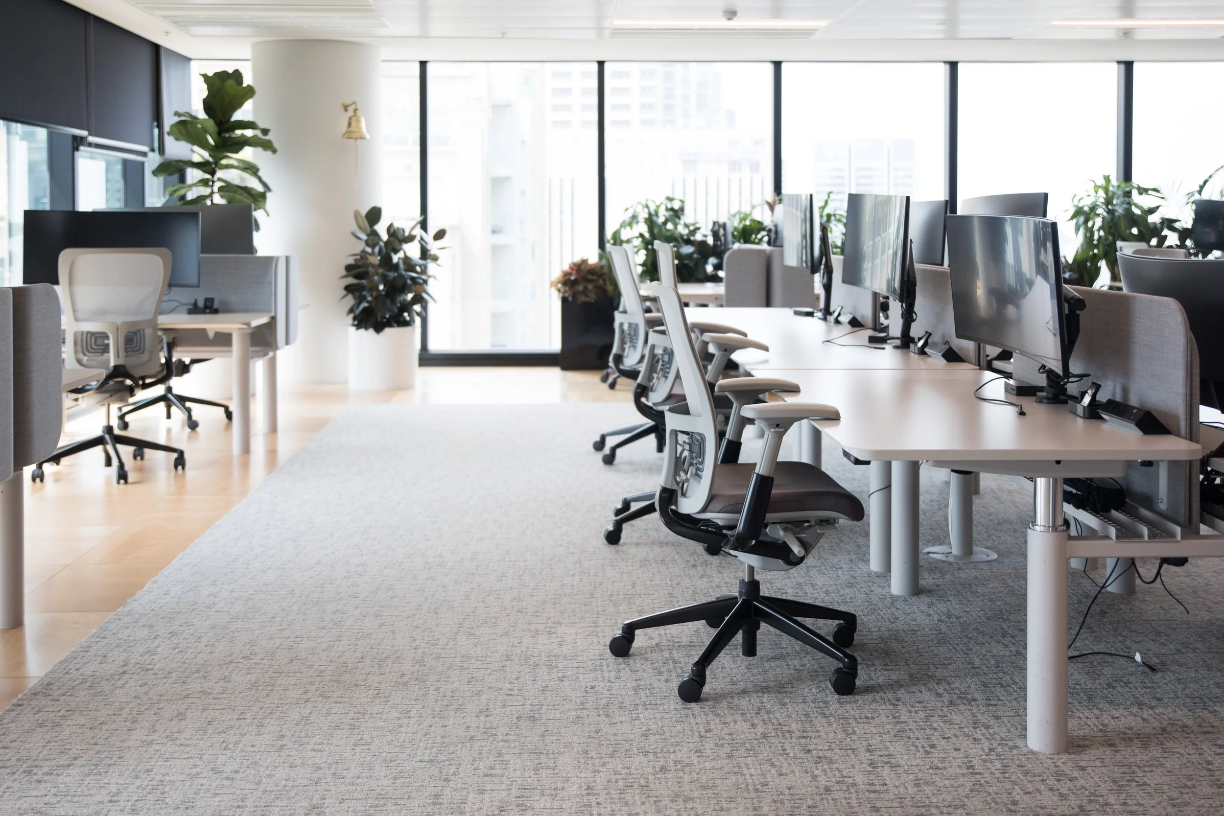 Modern office with large windows, white desks, ergonomic chairs, and computer monitors, decorated with indoor plants and a light-colored carpet.