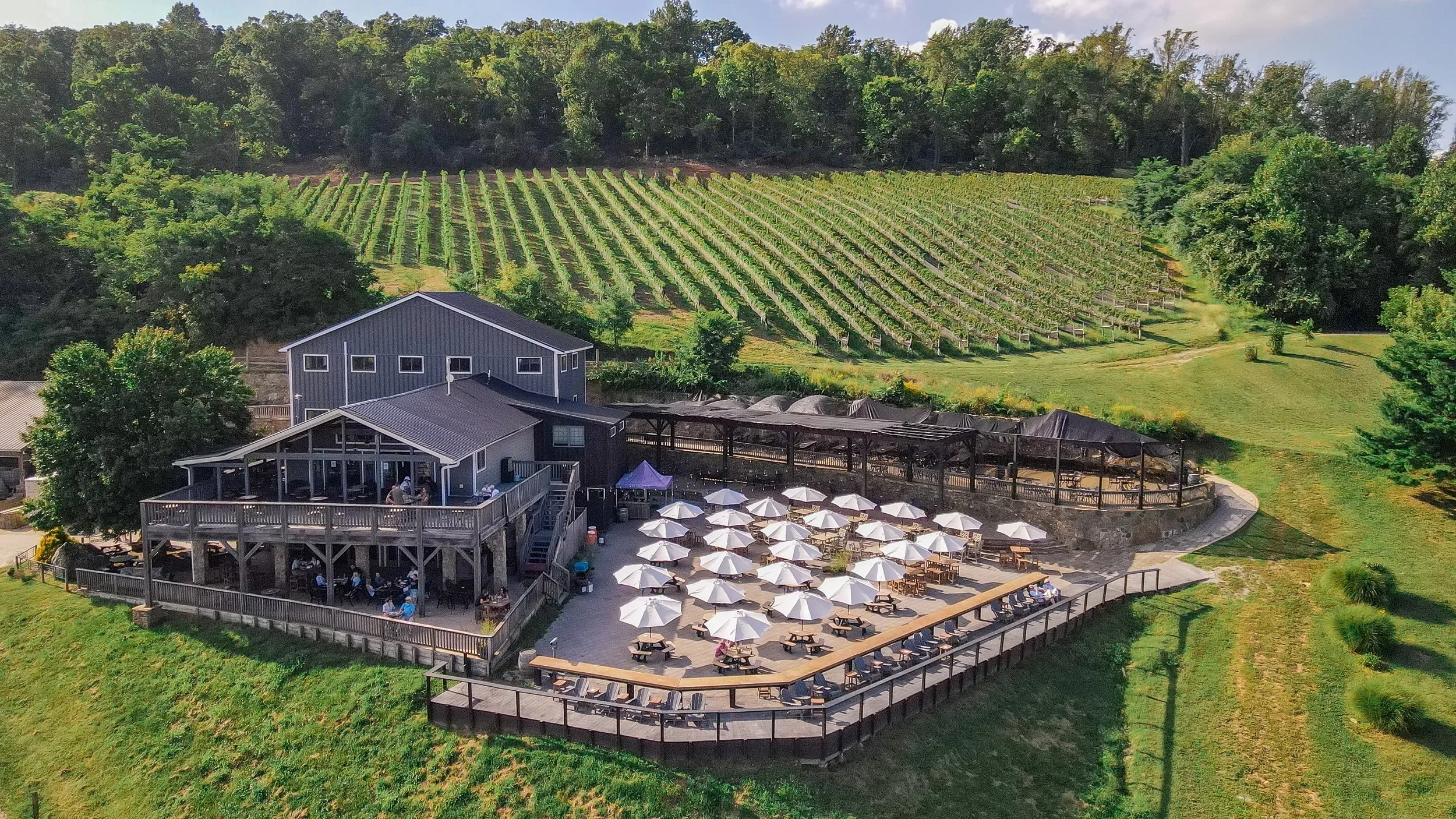 A scenic view of a vineyard on a hillside with green rows of grapevines, surrounded by trees. In the foreground, there is a building with a deck, an outdoor seating area with white umbrellas, and an event space with tables and chairs.