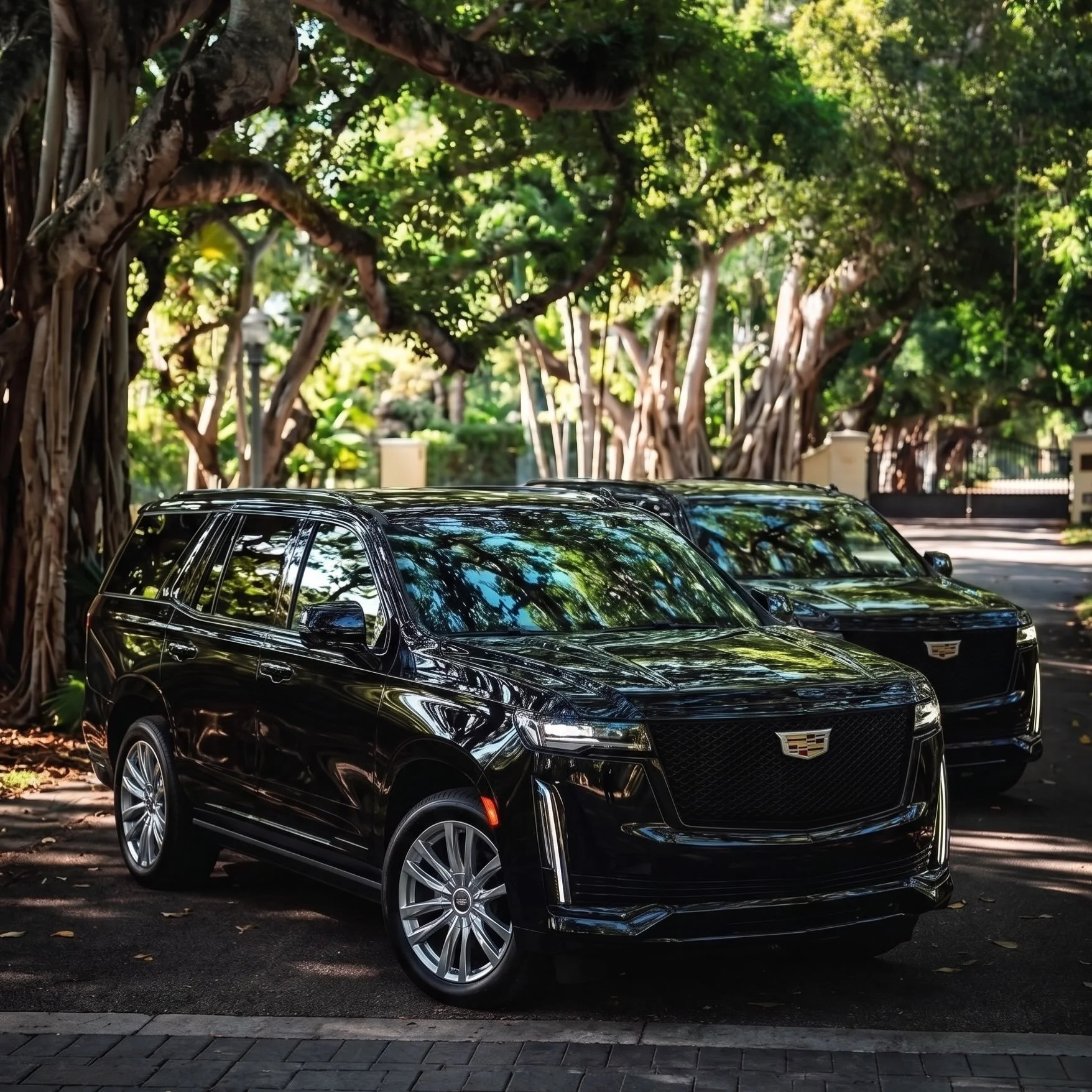 Redefining first-class travel, one destination at a time. Experience the standard of Capital Executive Car Service

#dc #luxury #viptransfer #dca #iad