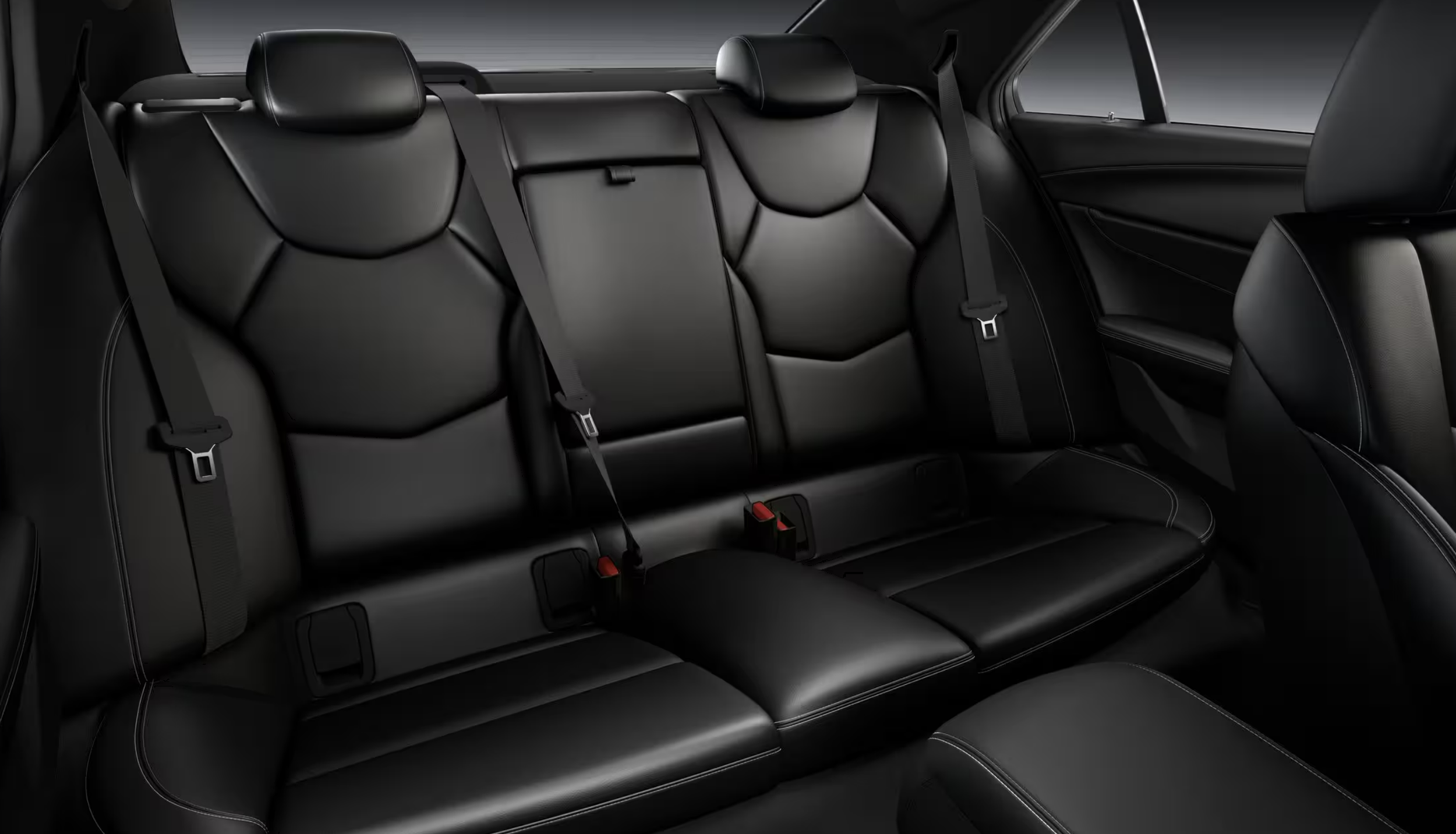 Interior of a car showing black leather back seats with seat belts and headrests.