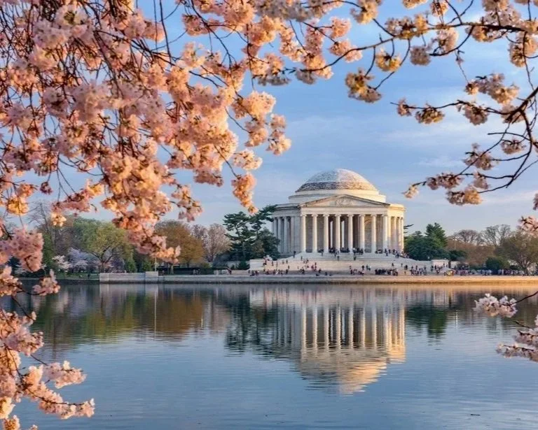The Lincoln Memorial is visible across a calm reflecting pool, framed by pink cherry blossoms in the foreground, during daytime.