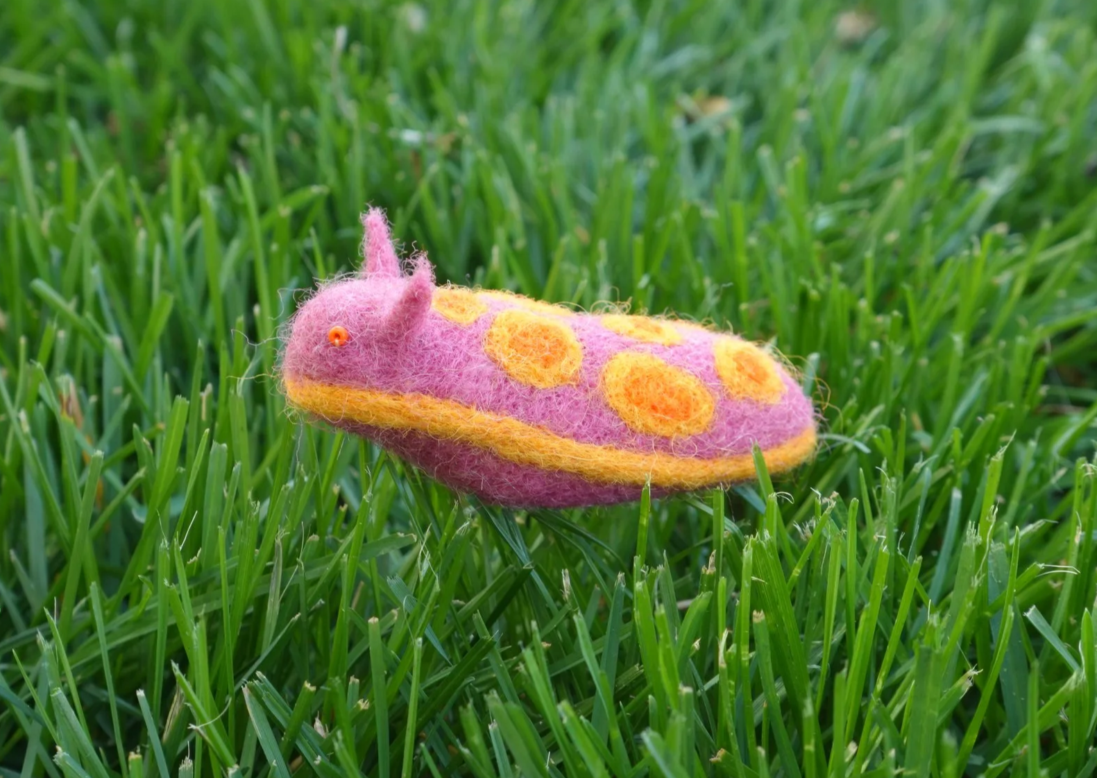 Needle felt sea slug