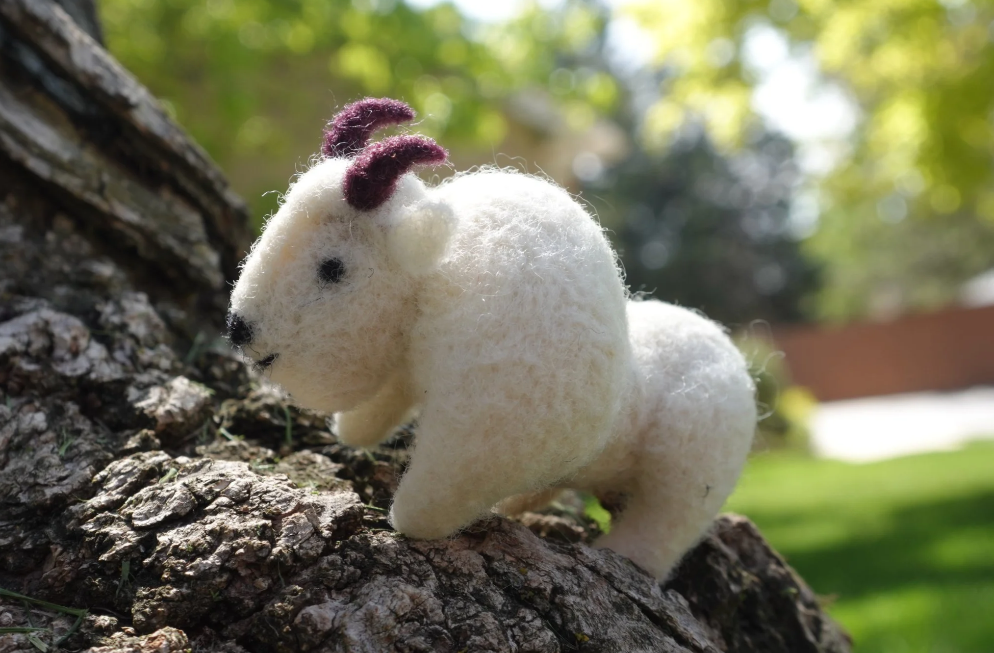 Needle felt mountain goat