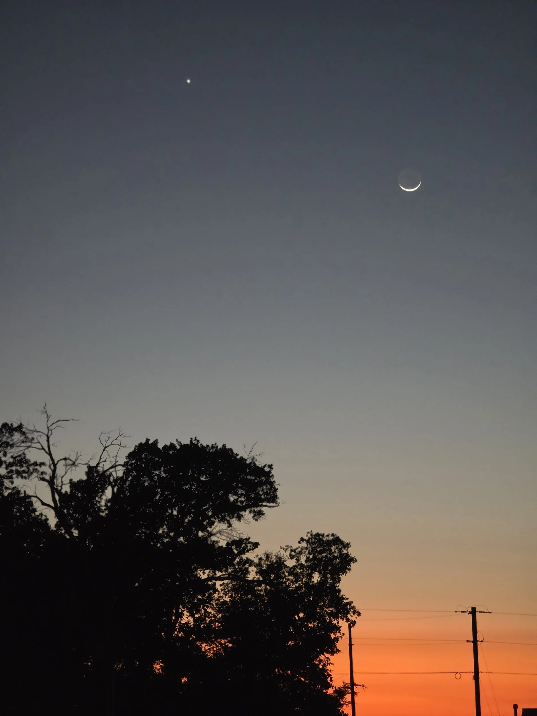 A sunset sky with silhouettes of trees and power lines, a visible crescent moon, and a bright star or planet in the night sky above.