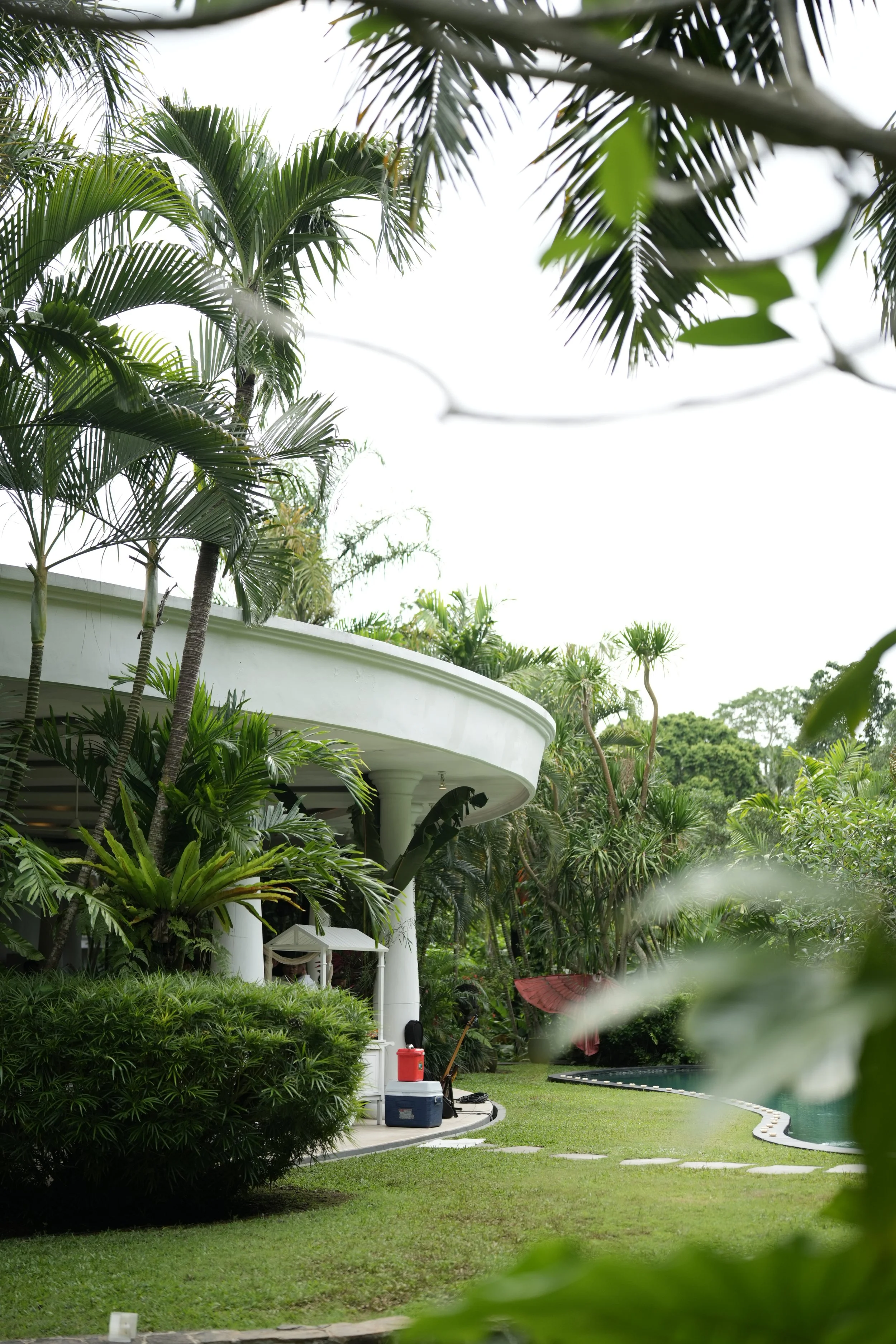 A lush tropical garden with tall palm trees, green shrubs, and a curved white building with columns. The garden has a well-maintained lawn and is next to a swimming pool. There are some equipment and containers near the building for maintenance.
