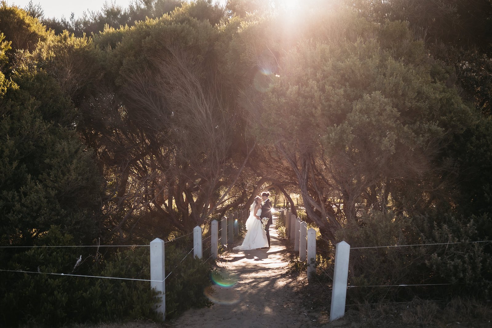 A bride and groom standing close together under big trees on a narrow pathway, illuminated by sunlight shining through the branches, during a wedding photo shoot.