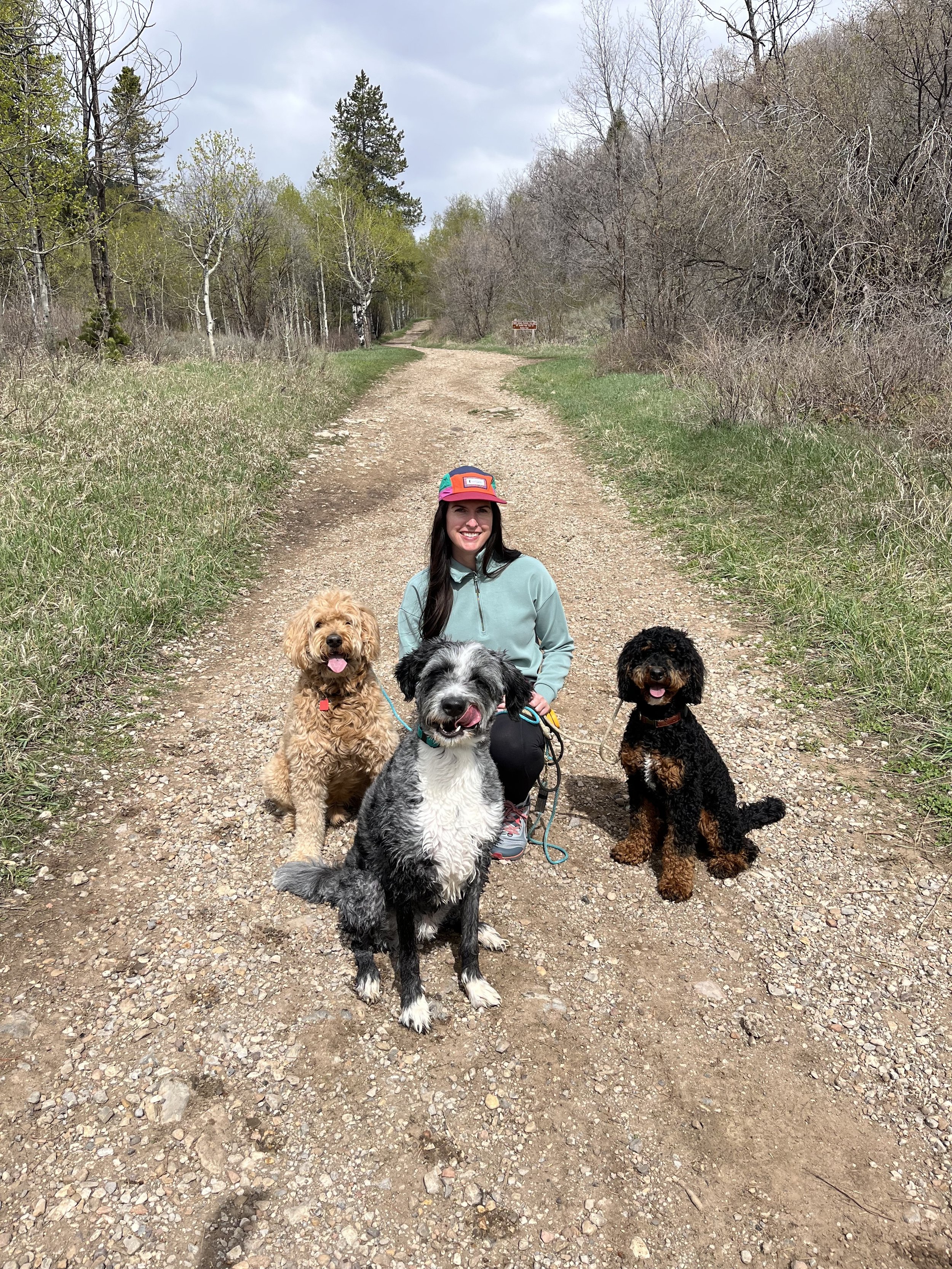 Trailhead trainer with a small group of three dogs on a trail in Ogden Valley, Utah during a Trailhead Camp adventure day.