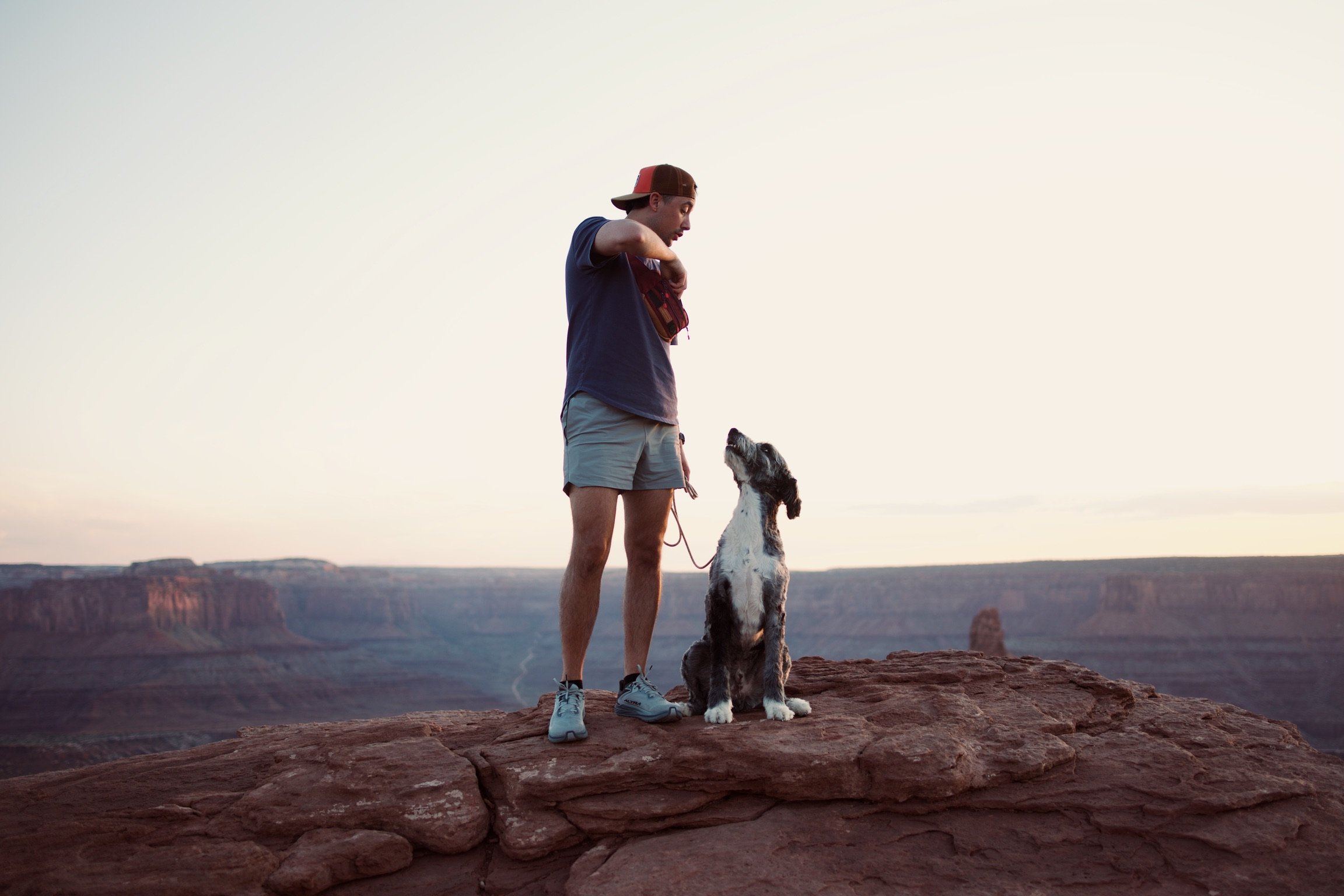 Dog practicing focus and engagement during an Adventure Training session at a Utah state park.