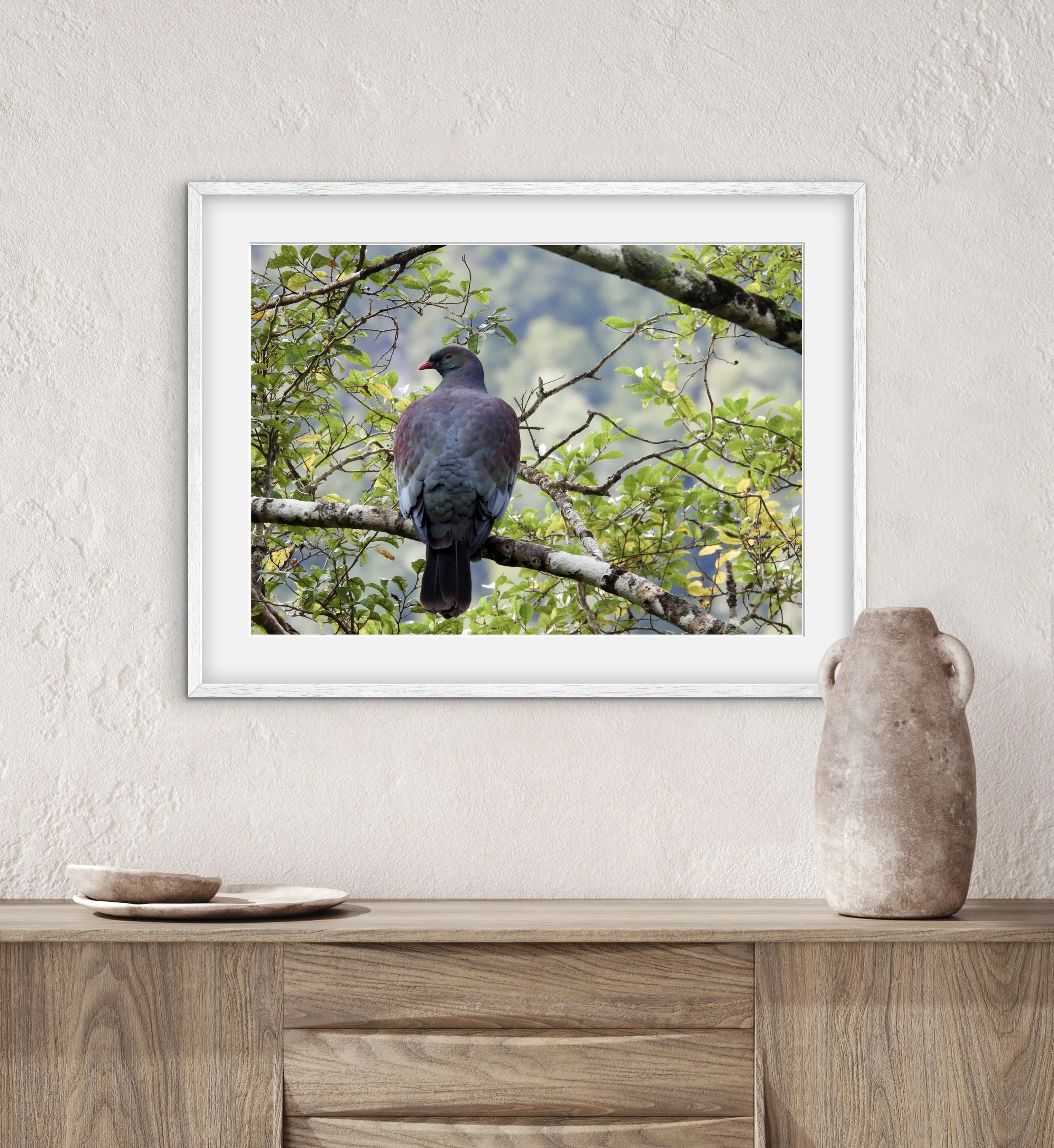 "Kereru" Print