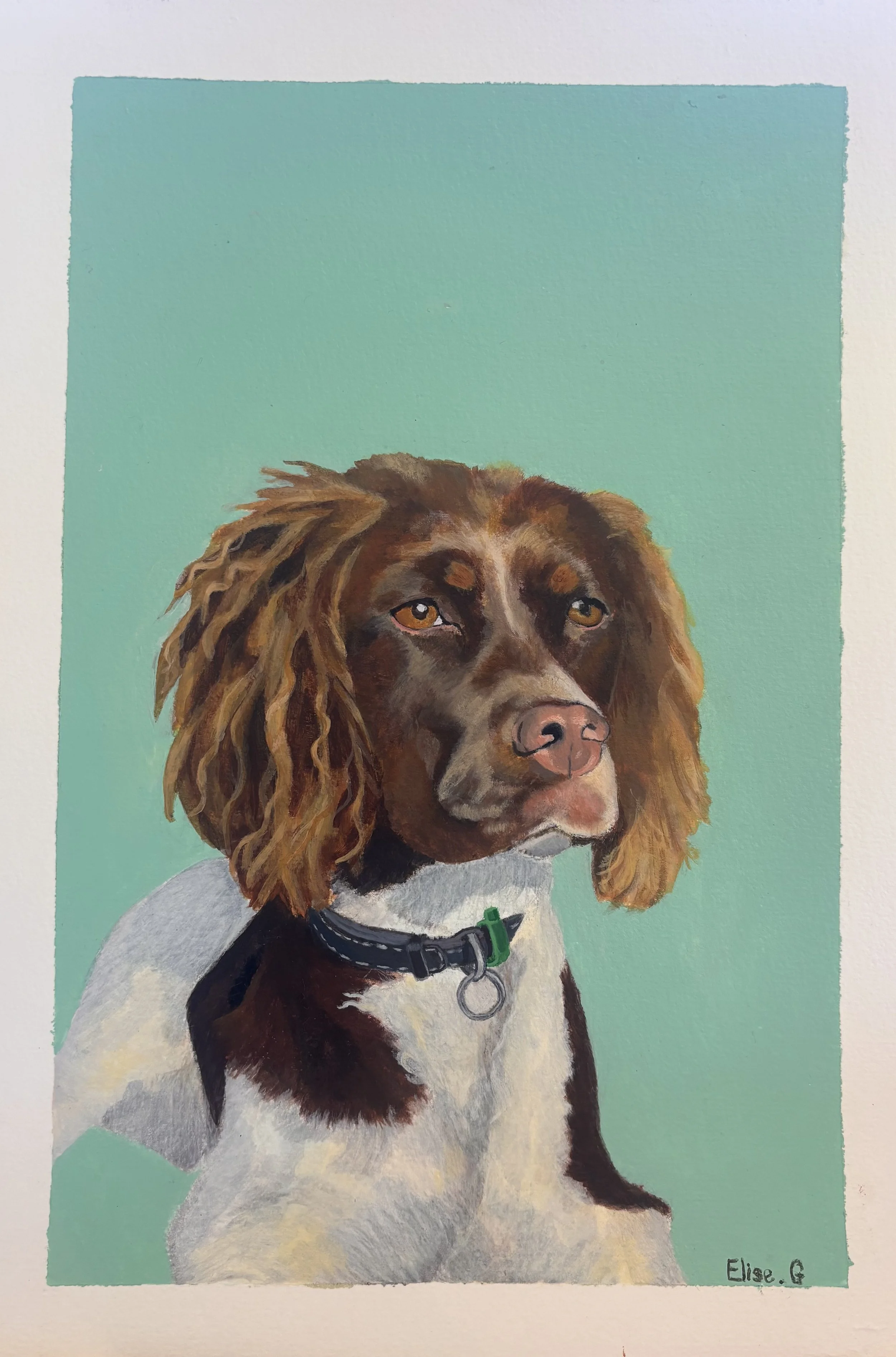 A painting of a brown and white dog with long, floppy ears against a teal background. The dog has a black collar with a green tag and a metal ring.