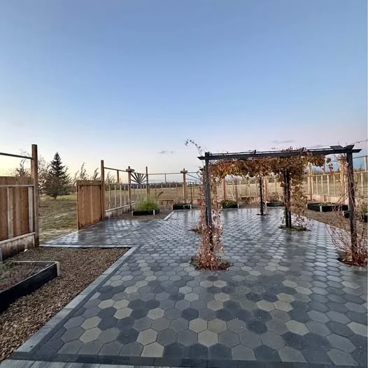 Empty backyard patio with hexagonal tiles, wooden fencing, a pergola with climbing plants, and a clear sky.