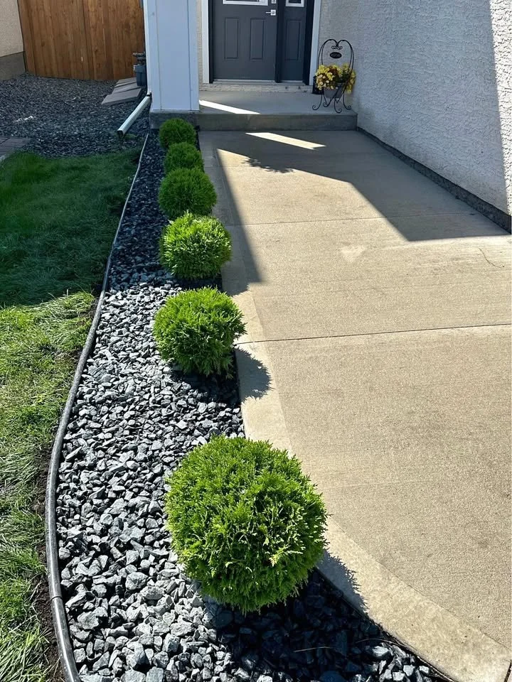 A concrete walkway outside a house with a small garden bed on the left containing green, rounded bushes and black decorative gravel, with a wooden fence and house entrance in the background.