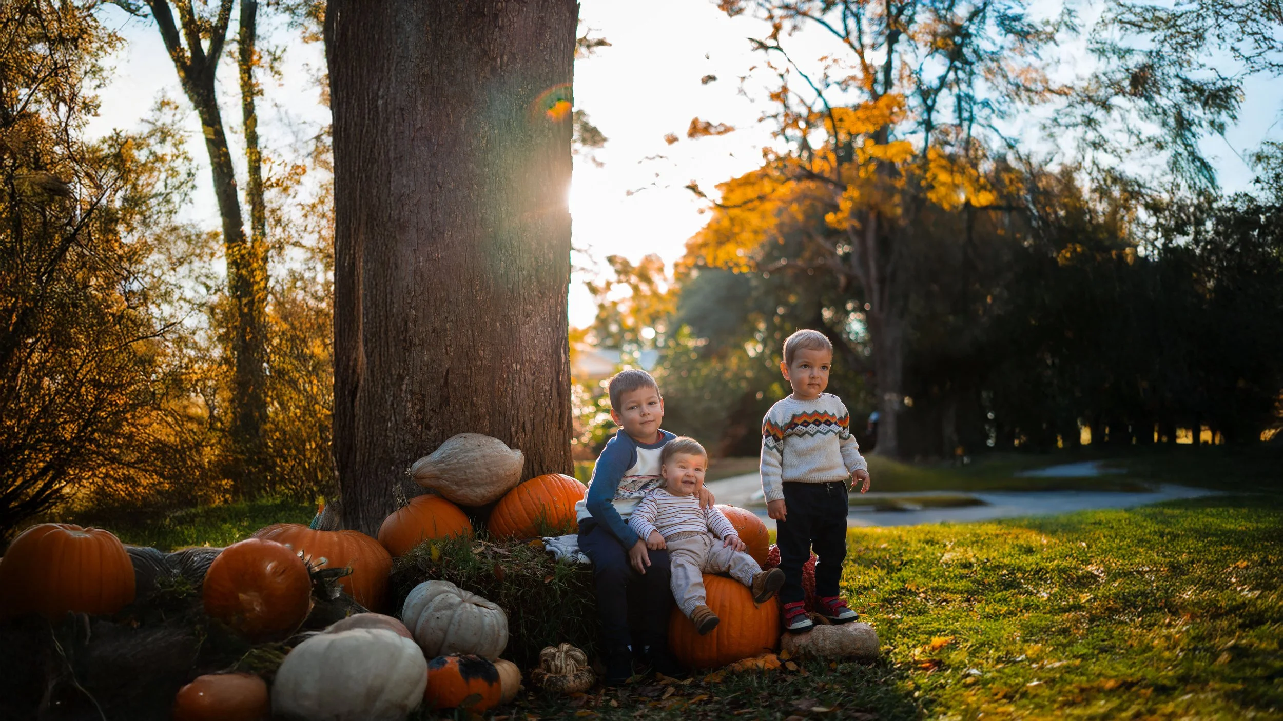Three children sitting and standing among pumpkins under a large tree in an outdoor park during fall, with golden sunlight filtering through leaves.