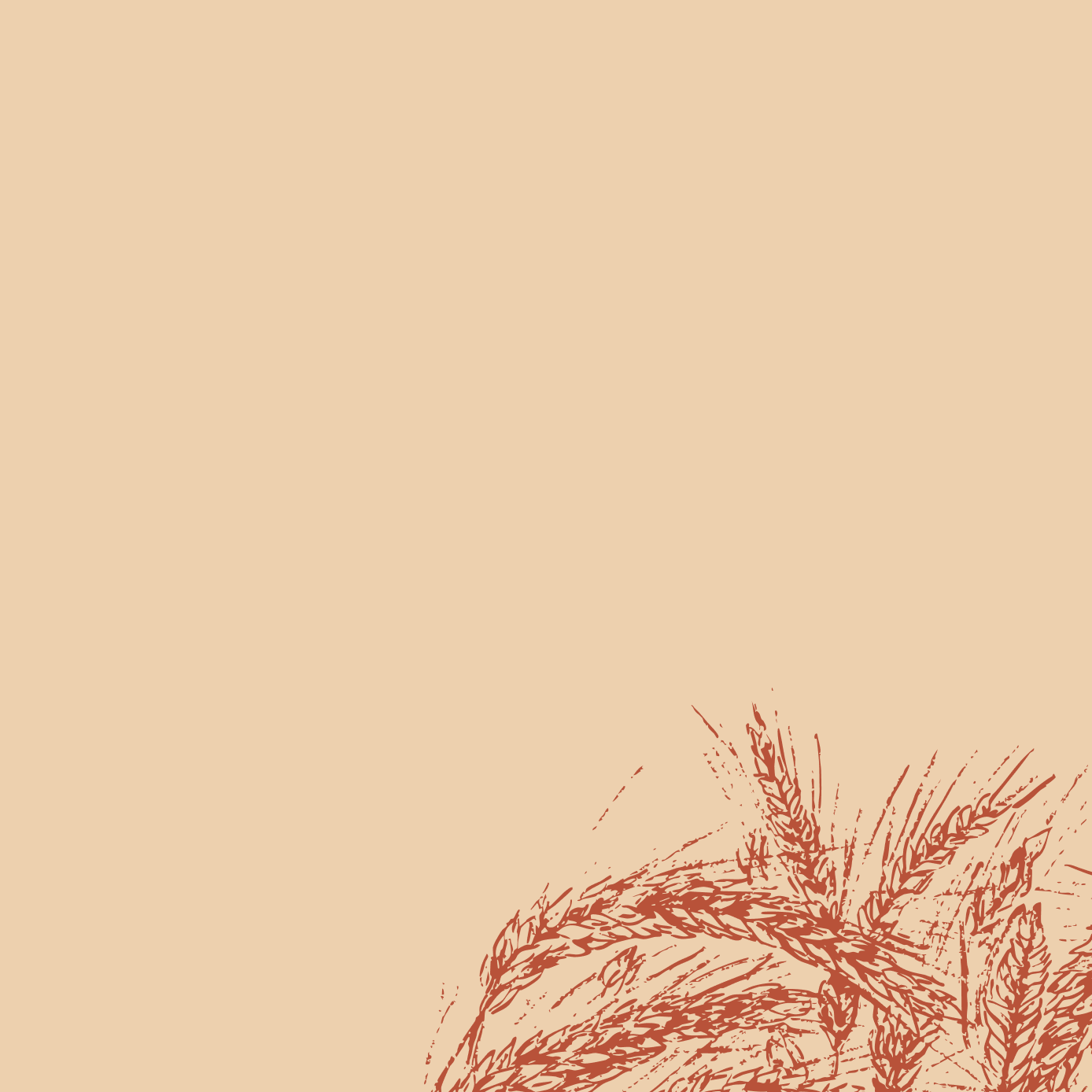 Illustration of barley stalks in the bottom right corner on a beige background.