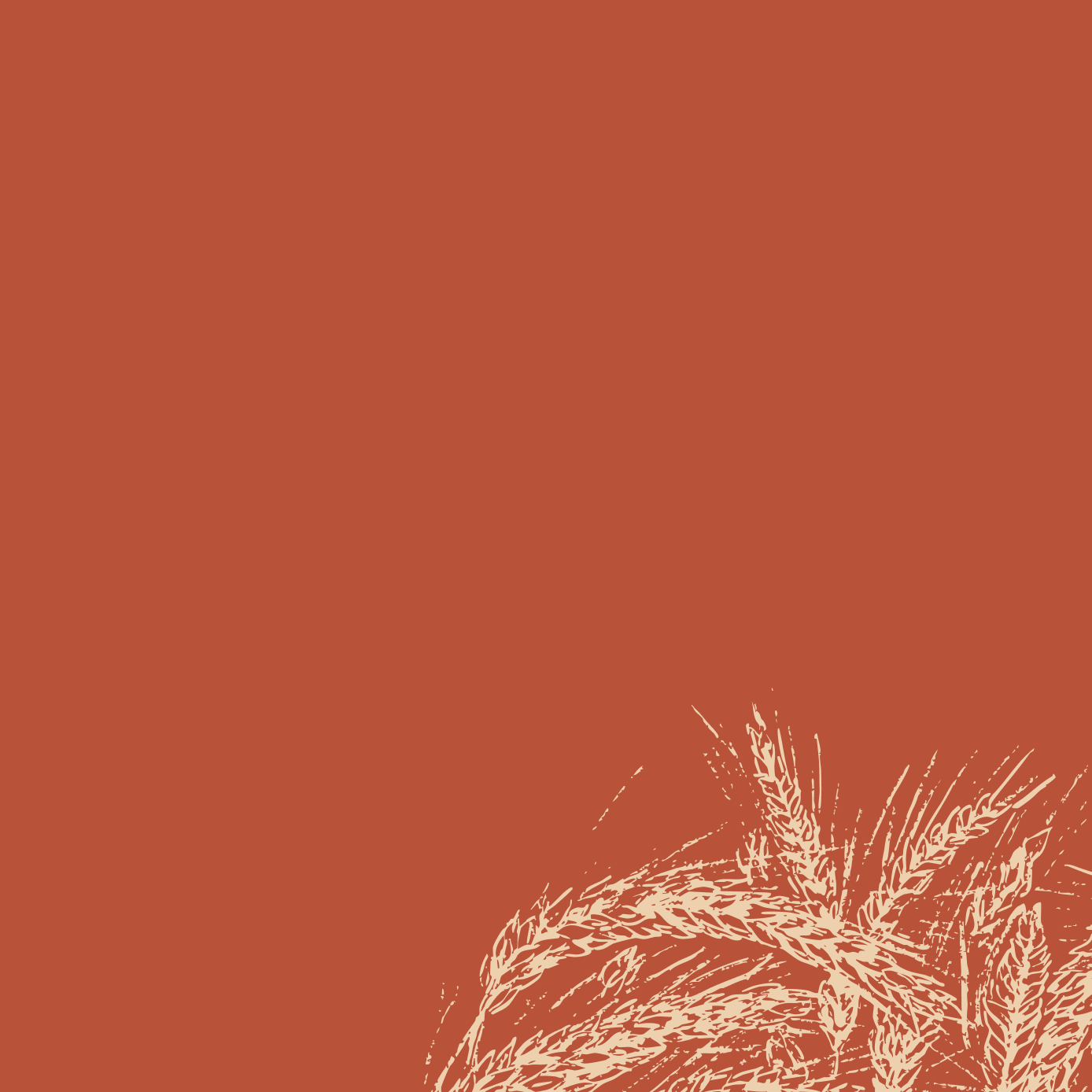 Illustration of barley stalks in a cluster on a terracotta background.