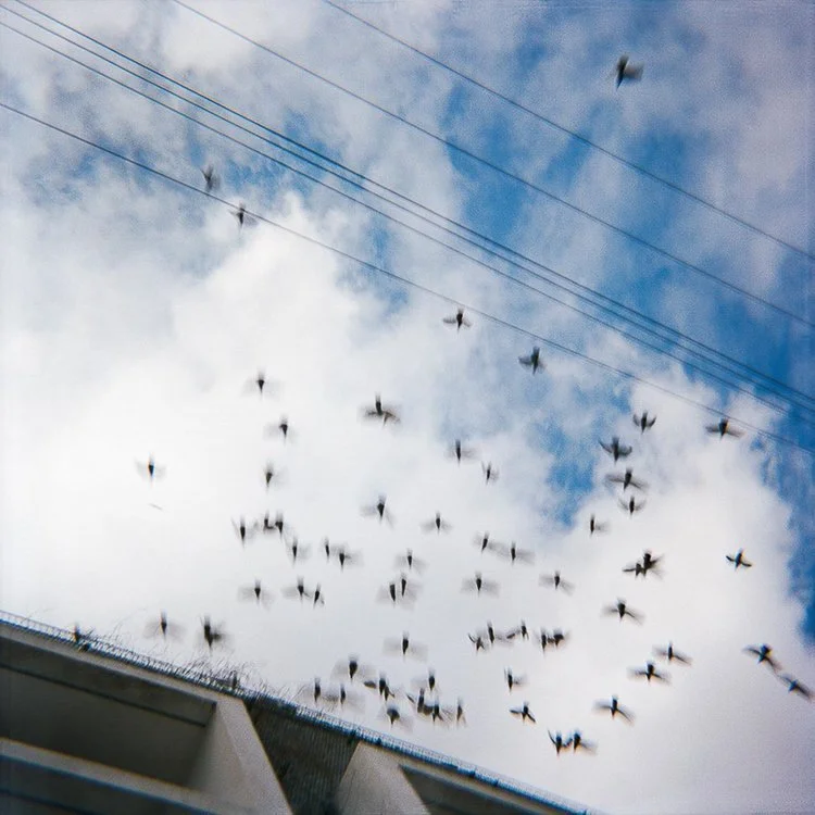 Quiet.Eye.Art - Hollywood