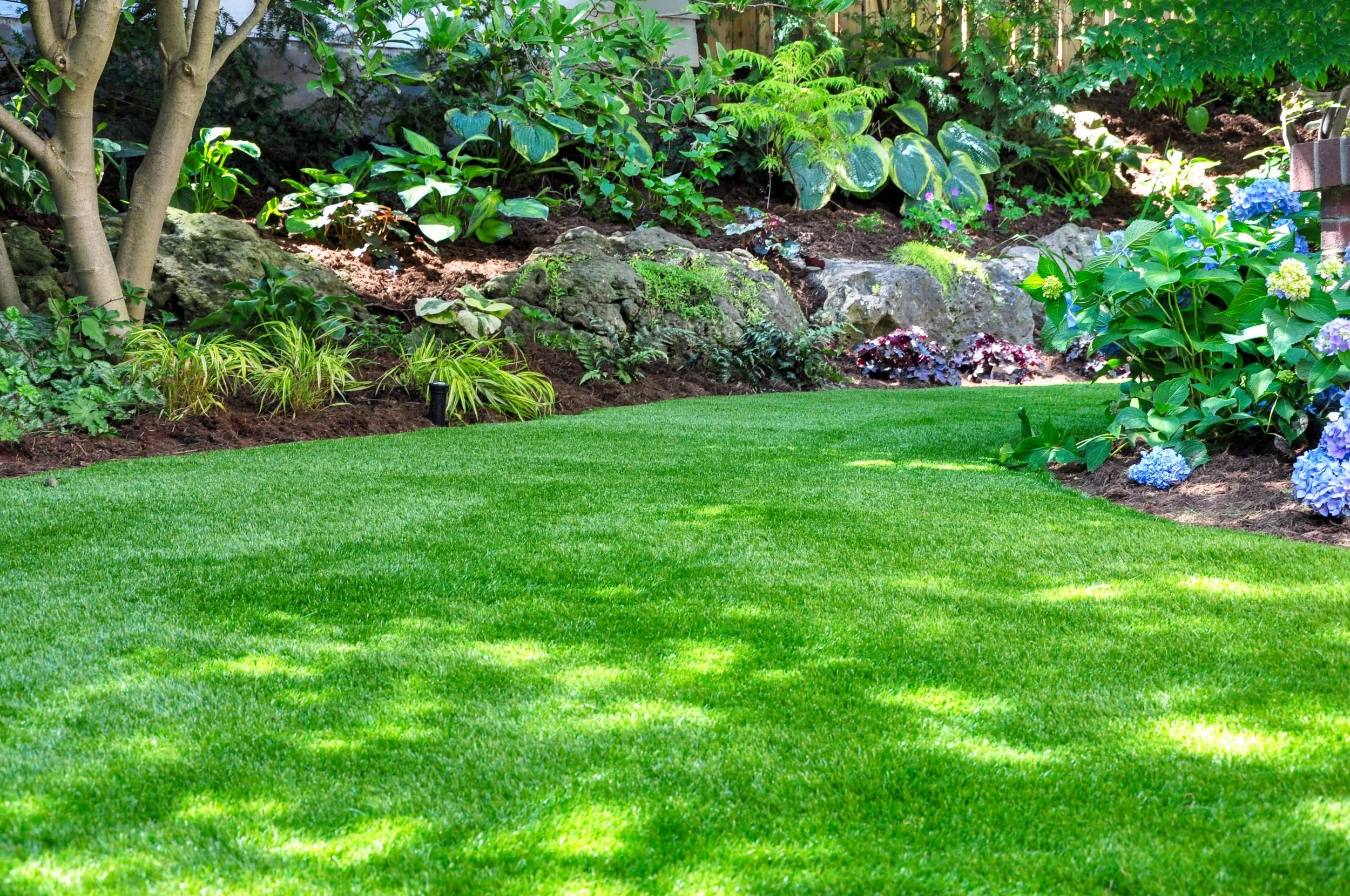 A well-maintained backyard garden with green grass, various plants, bushes, and flowers, including hydrangeas, and some rocks with small greenery growing between them.