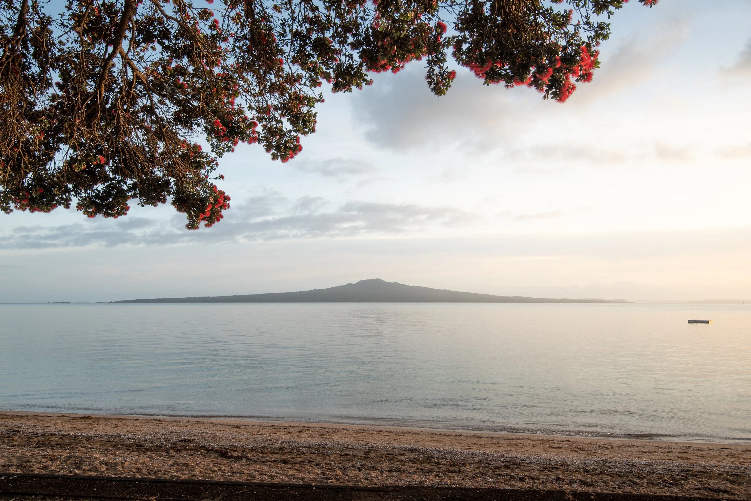 Wedding and elopement photography Melbourne. Wedding photographer Melbourne. Professional wedding photographer Melbourne. Top wedding photographer Melbourne. Wedding film photography. luxury wedding photographer, Melbourne, Victoria, Australia.