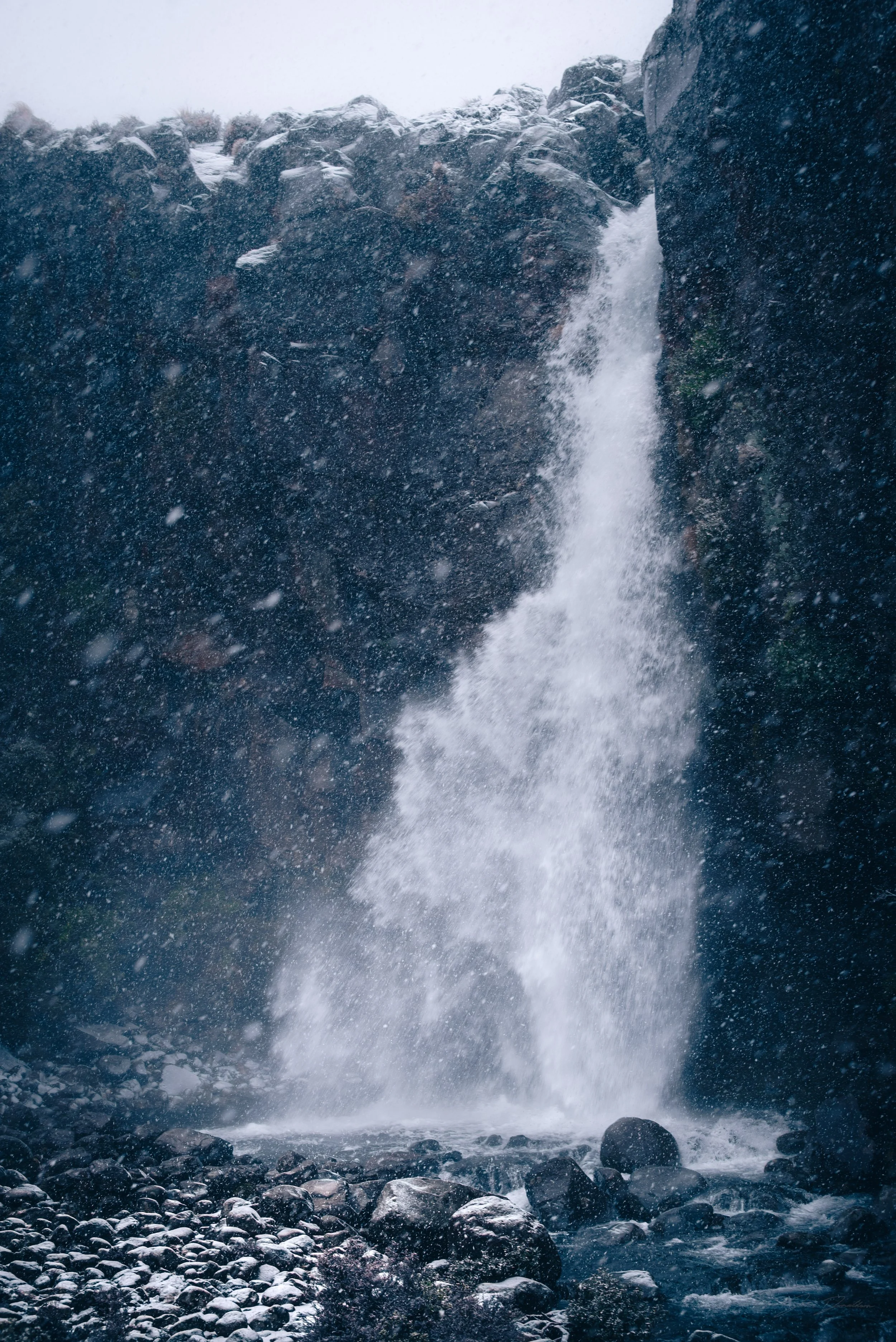 Wedding and elopement photography Melbourne. Wedding photographer Melbourne. Professional wedding photographer Melbourne. Top wedding photographer Melbourne. Wedding film photography. luxury wedding photographer, Melbourne, Victoria, Australia.