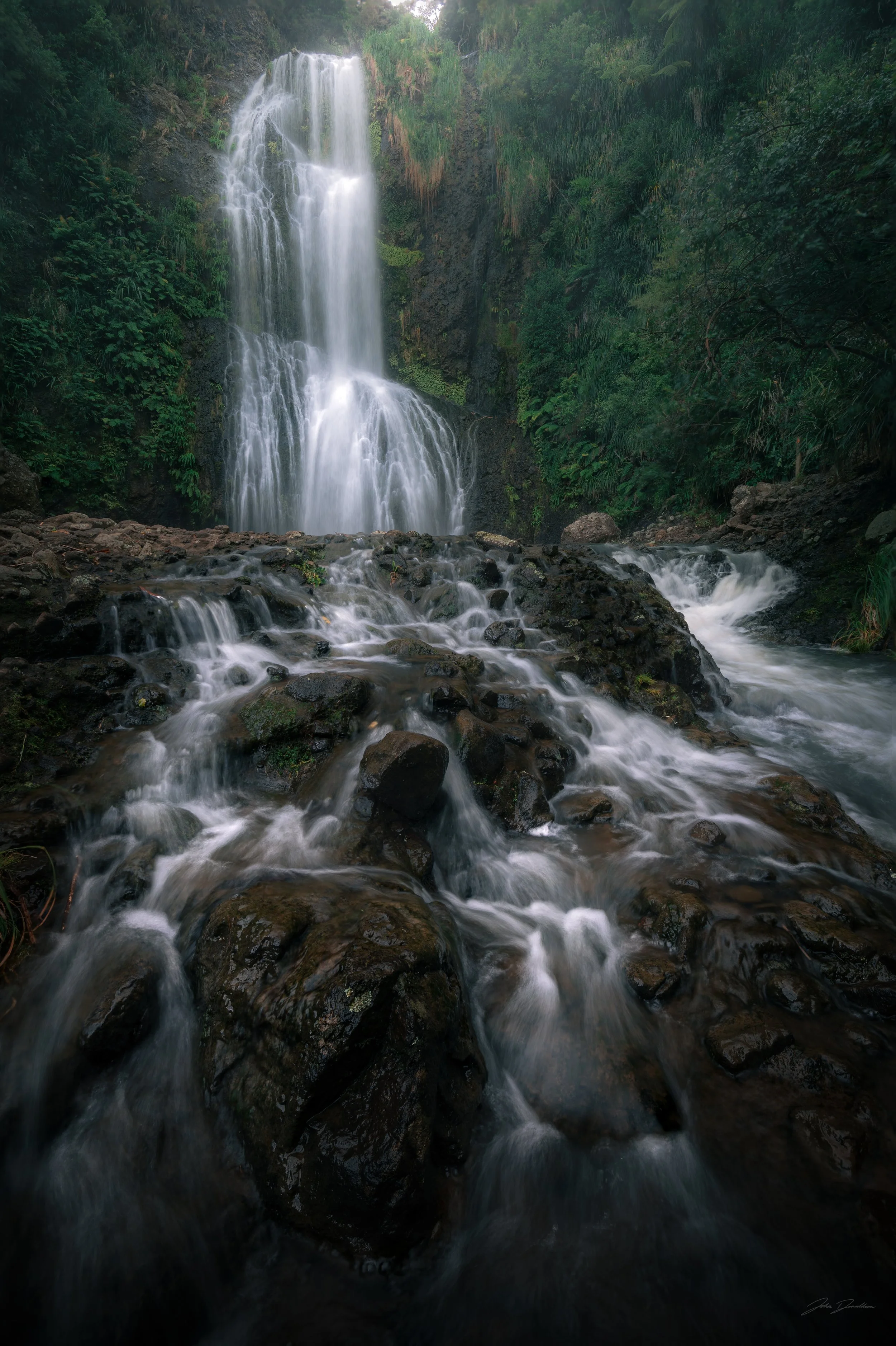 Wedding and elopement photography Melbourne. Wedding photographer Melbourne. Professional wedding photographer Melbourne. Top wedding photographer Melbourne. Wedding film photography. luxury wedding photographer, Melbourne, Victoria, Australia.