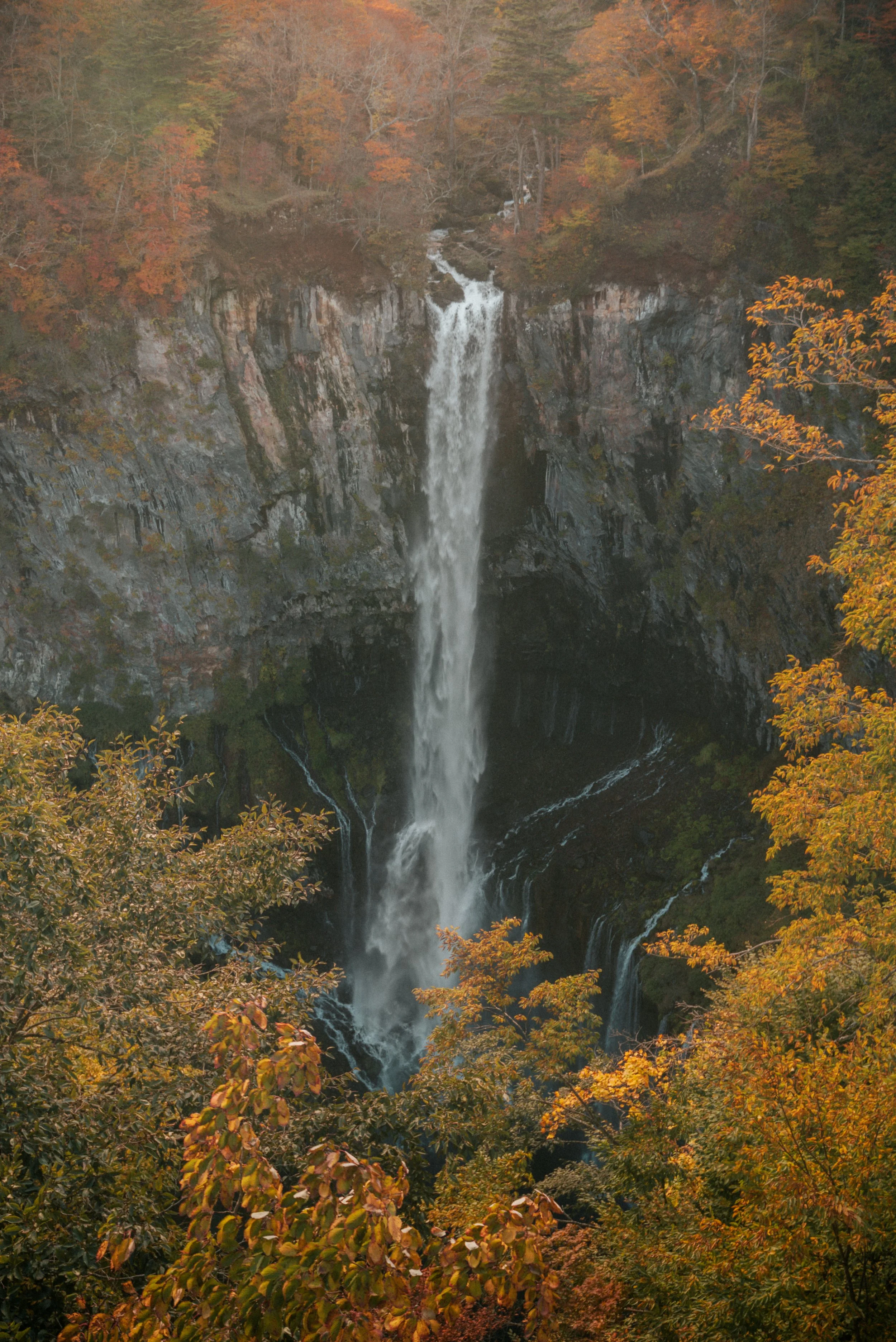 Wedding and elopement photography Melbourne. Wedding photographer Melbourne. Professional wedding photographer Melbourne. Top wedding photographer Melbourne. Wedding film photography. luxury wedding photographer, Melbourne, Victoria, Australia.
