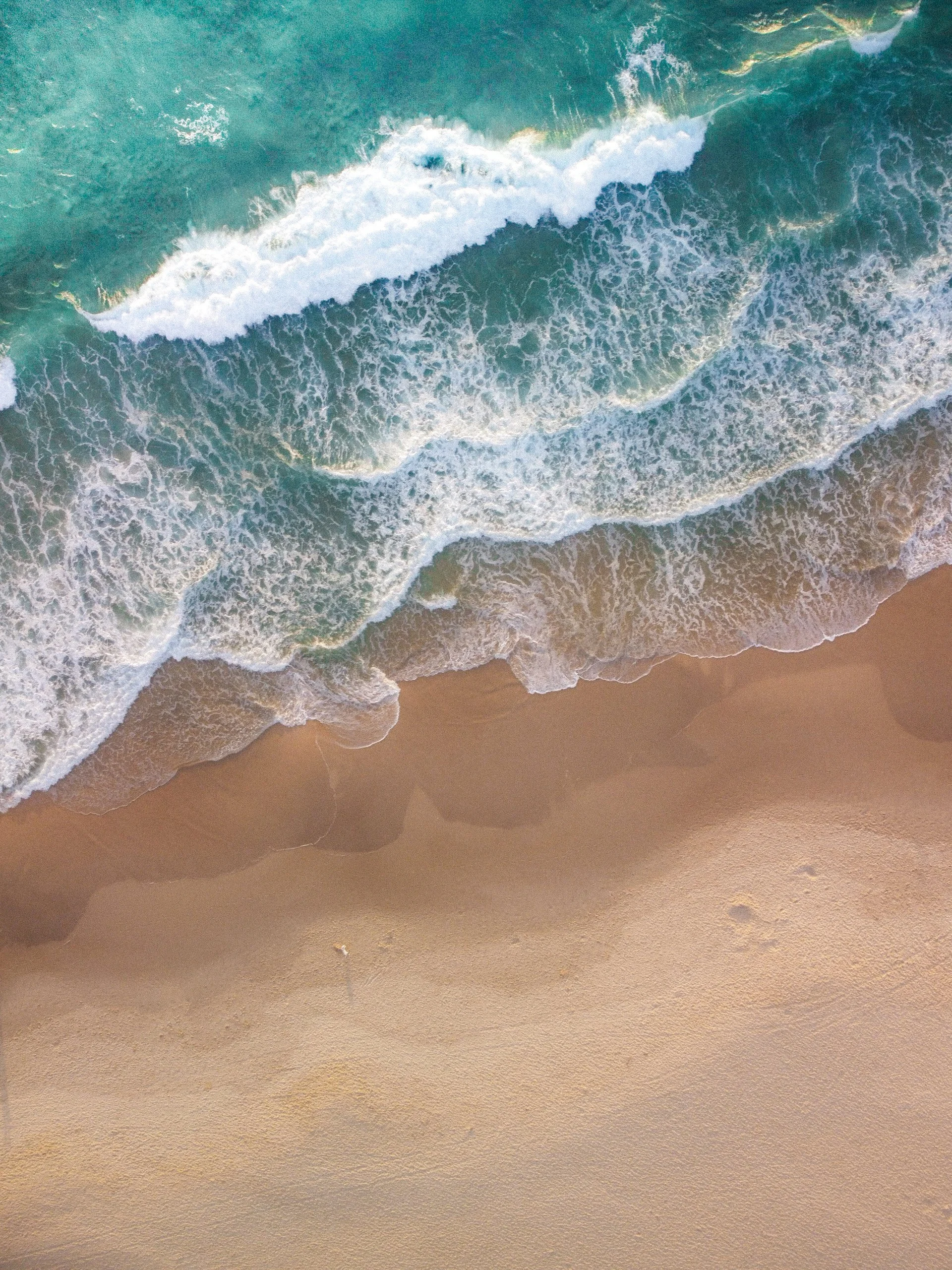 Wedding and elopement photography Melbourne. Wedding photographer Melbourne. Professional wedding photographer Melbourne. Top wedding photographer Melbourne. Wedding film photography. luxury wedding photographer, Melbourne, Victoria, Australia.