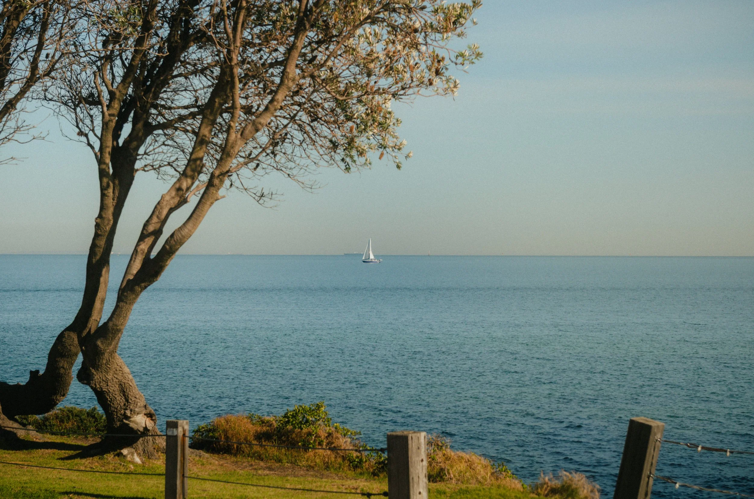 Wedding and elopement photography Melbourne. Wedding photographer Melbourne. Professional wedding photographer Melbourne. Top wedding photographer Melbourne. Wedding film photography. luxury wedding photographer, Melbourne, Victoria, Australia.