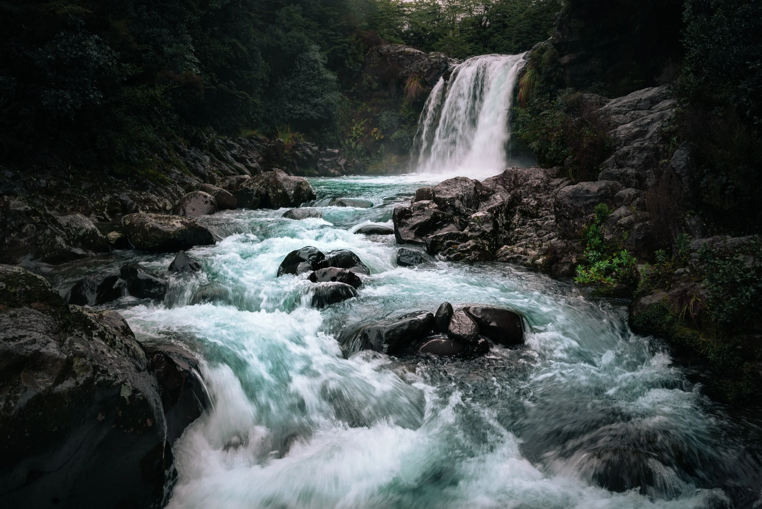 Wedding and elopement photography Melbourne. Wedding photographer Melbourne. Professional wedding photographer Melbourne. Top wedding photographer Melbourne. Wedding film photography. luxury wedding photographer, Melbourne, Victoria, Australia.