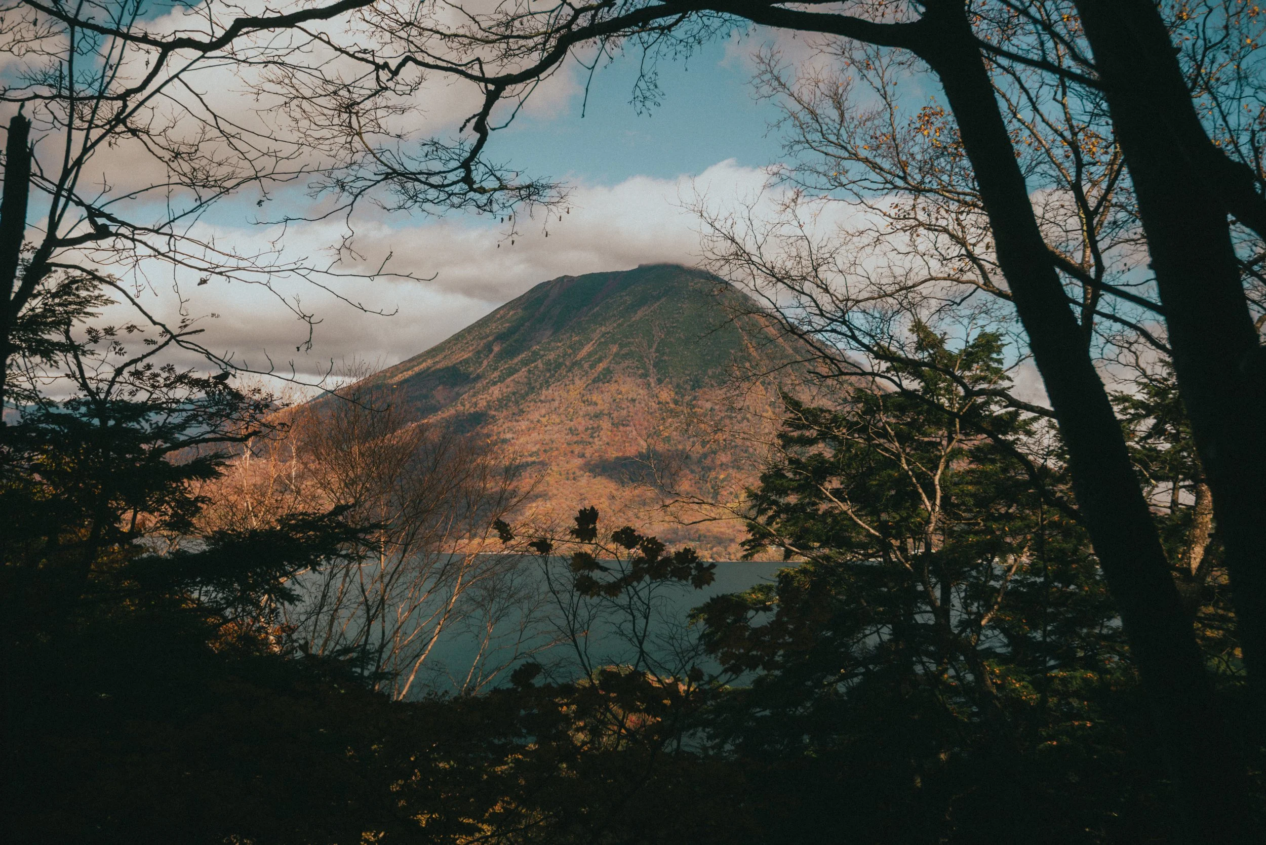 Wedding and elopement photography Melbourne. Wedding photographer Melbourne. Professional wedding photographer Melbourne. Top wedding photographer Melbourne. Wedding film photography. luxury wedding photographer, Melbourne, Victoria, Australia.