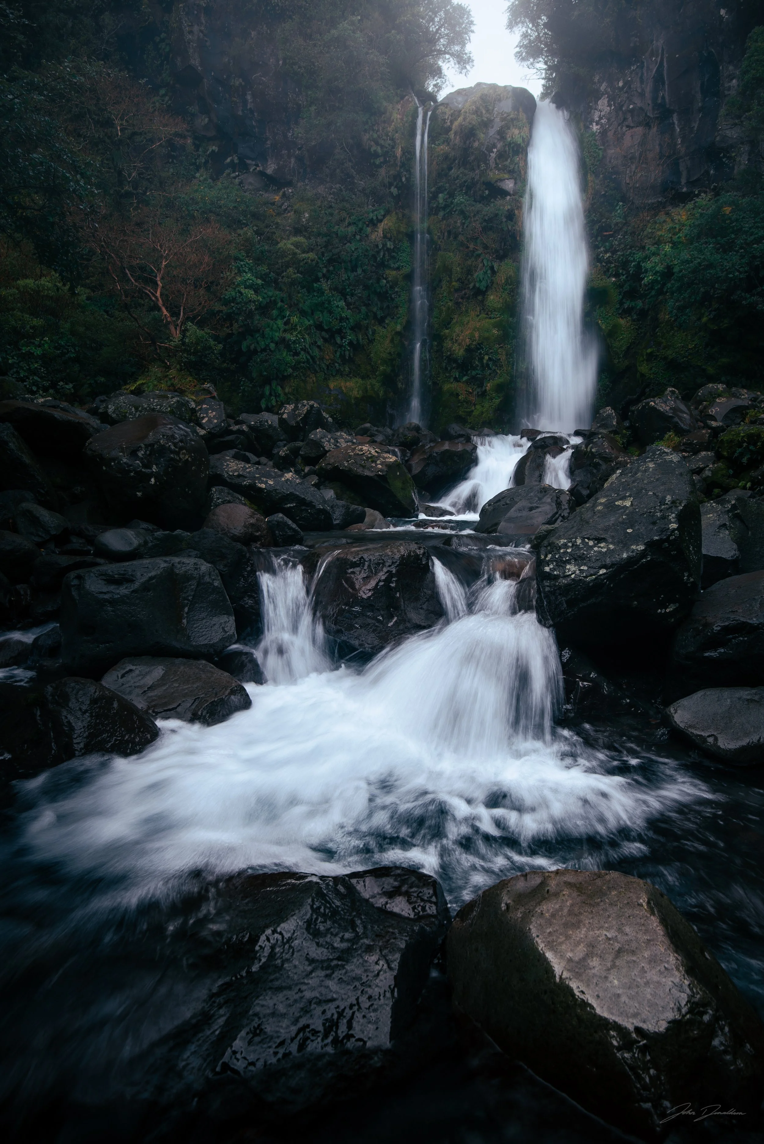 Wedding and elopement photography Melbourne. Wedding photographer Melbourne. Professional wedding photographer Melbourne. Top wedding photographer Melbourne. Wedding film photography. luxury wedding photographer, Melbourne, Victoria, Australia.