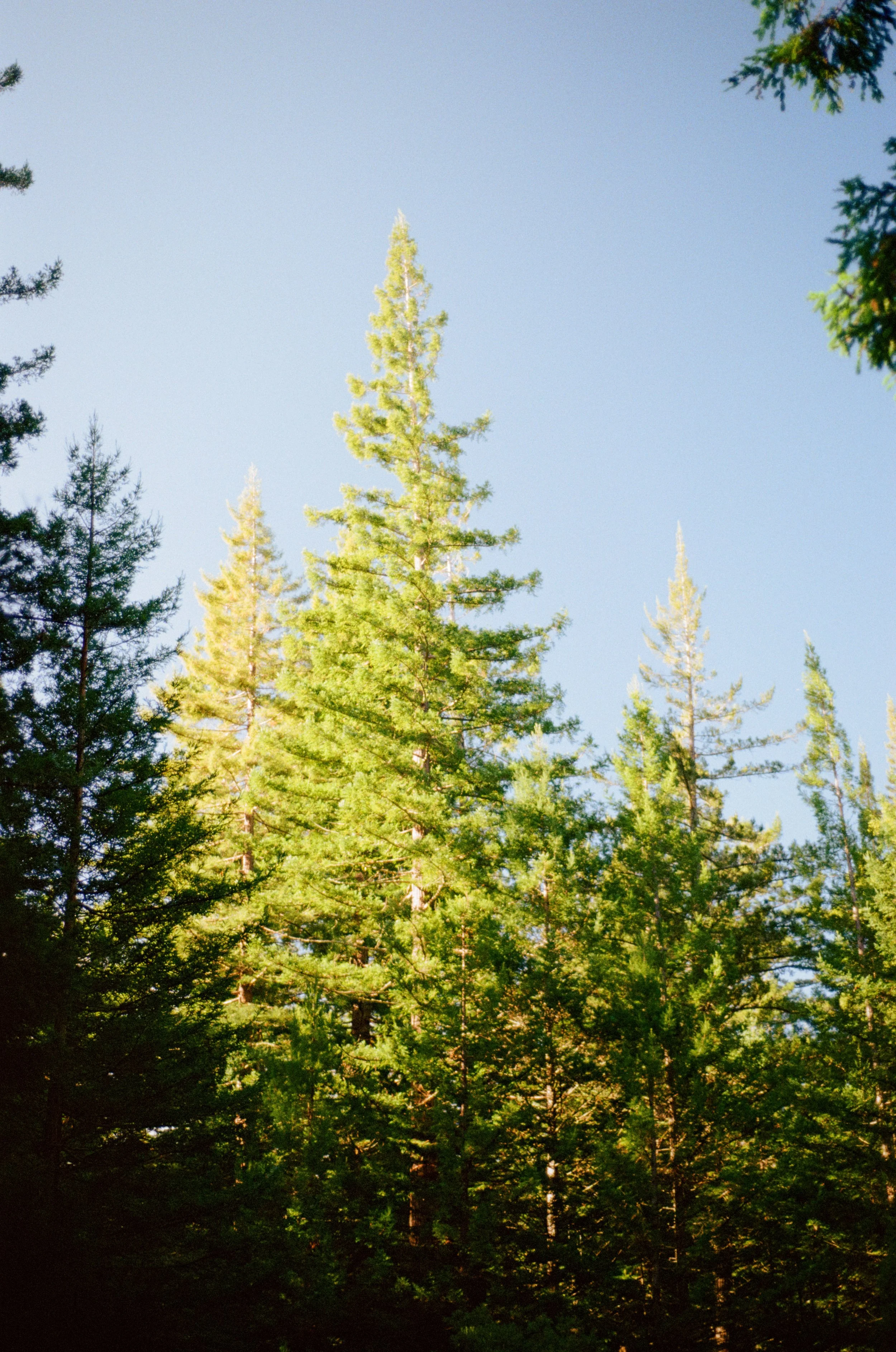 Wedding and elopement photography Melbourne. Wedding photographer Melbourne. Professional wedding photographer Melbourne. Top wedding photographer Melbourne. Editorial and luxury wedding photographer, Melbourne, Victoria, Australia. Highly rated.