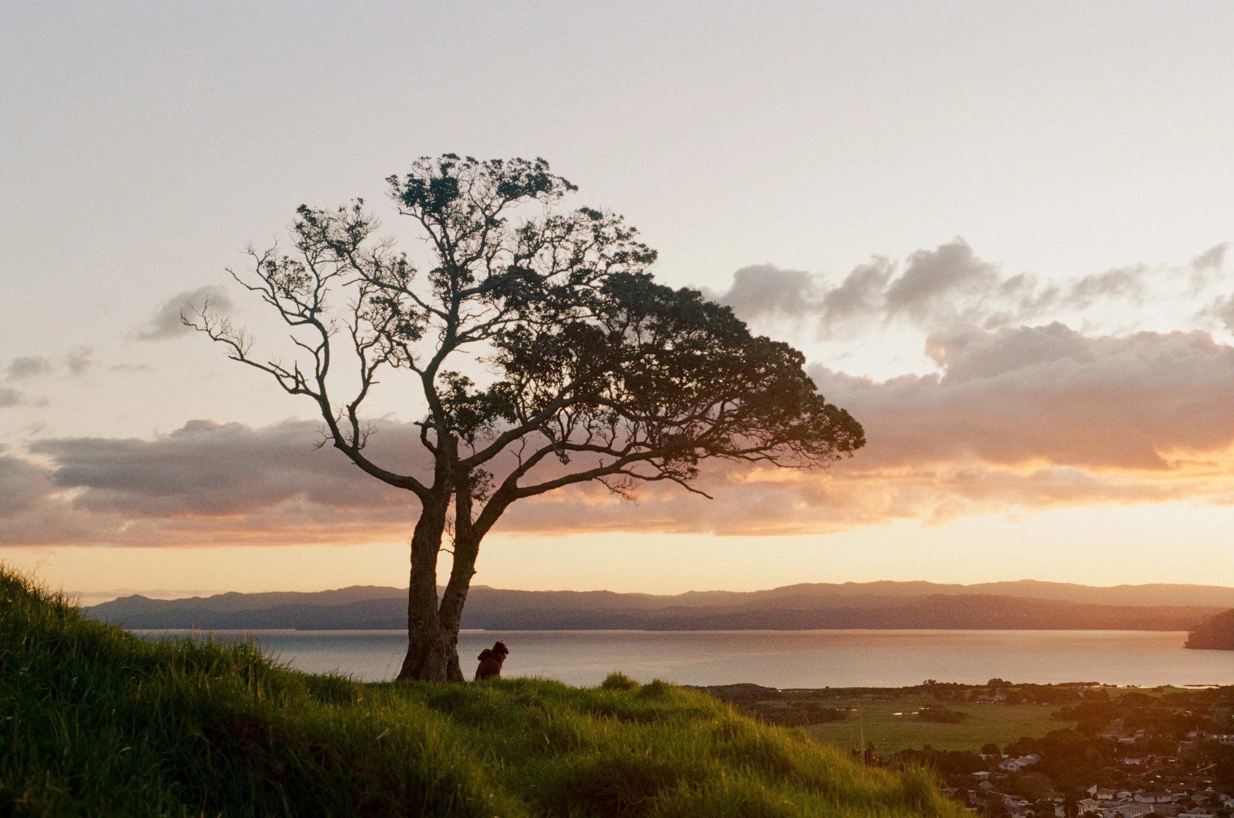 Wedding and elopement photography Melbourne. Wedding photographer Melbourne. Professional wedding photographer Melbourne. Top wedding photographer Melbourne. Editorial and luxury wedding photographer, Melbourne, Victoria, Australia. Highly rated.