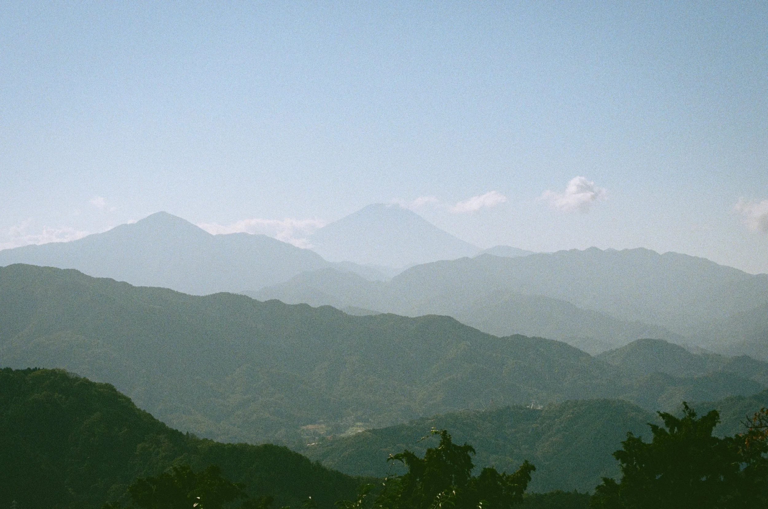 Wedding and elopement photography Melbourne. Wedding photographer Melbourne. Professional wedding photographer Melbourne. Top wedding photographer Melbourne. Editorial and luxury wedding photographer, Melbourne, Victoria, Australia. Highly rated.