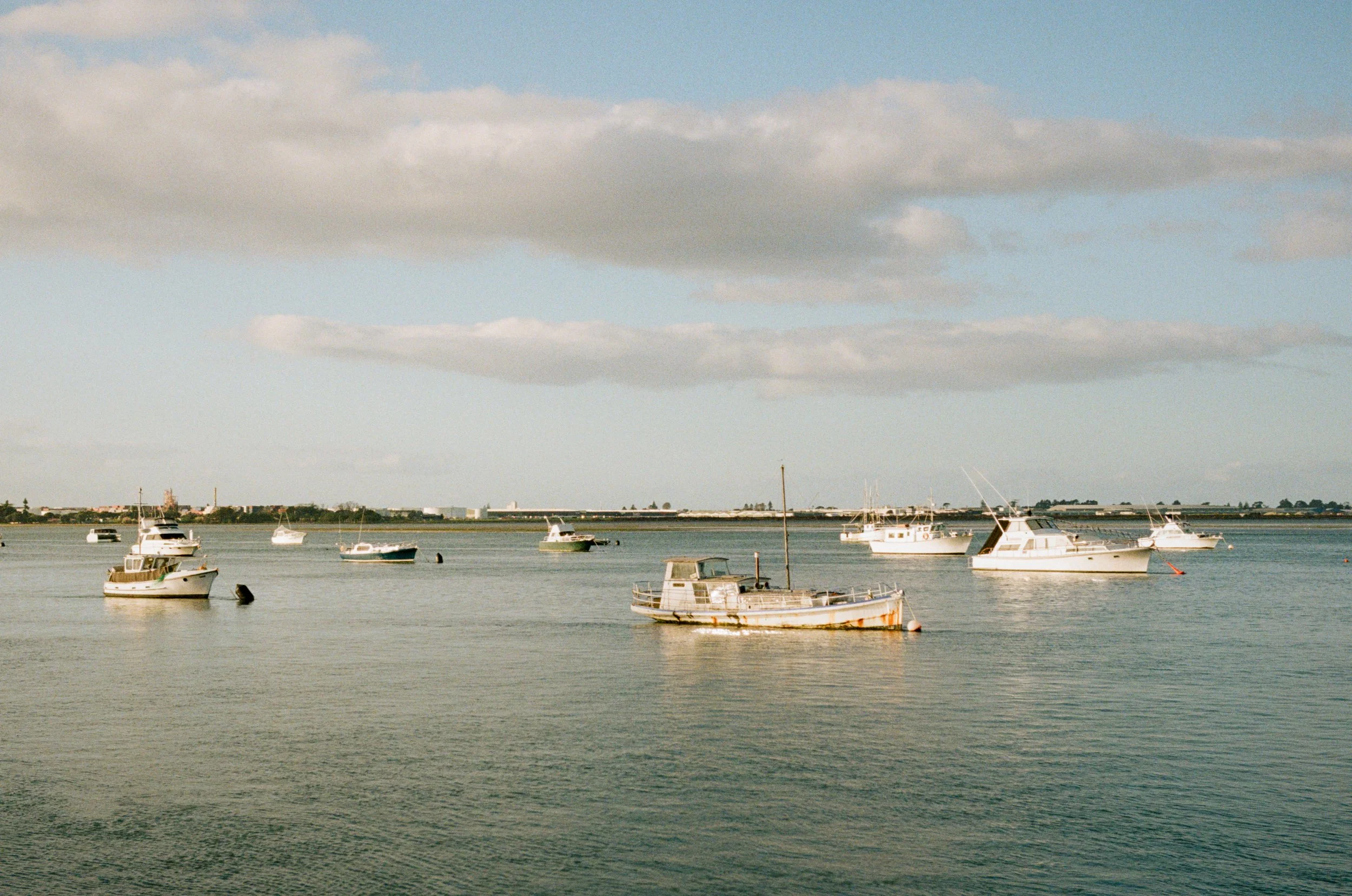 Wedding and elopement photography Melbourne. Wedding photographer Melbourne. Professional wedding photographer Melbourne. Top wedding photographer Melbourne. Editorial and luxury wedding photographer, Melbourne, Victoria, Australia. Highly rated.