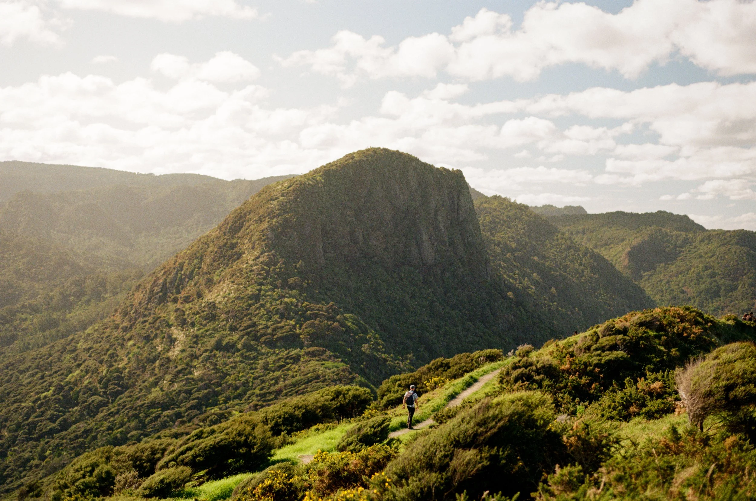 Wedding and elopement photography Melbourne. Wedding photographer Melbourne. Professional wedding photographer Melbourne. Top wedding photographer Melbourne. Editorial and luxury wedding photographer, Melbourne, Victoria, Australia. Highly rated.
