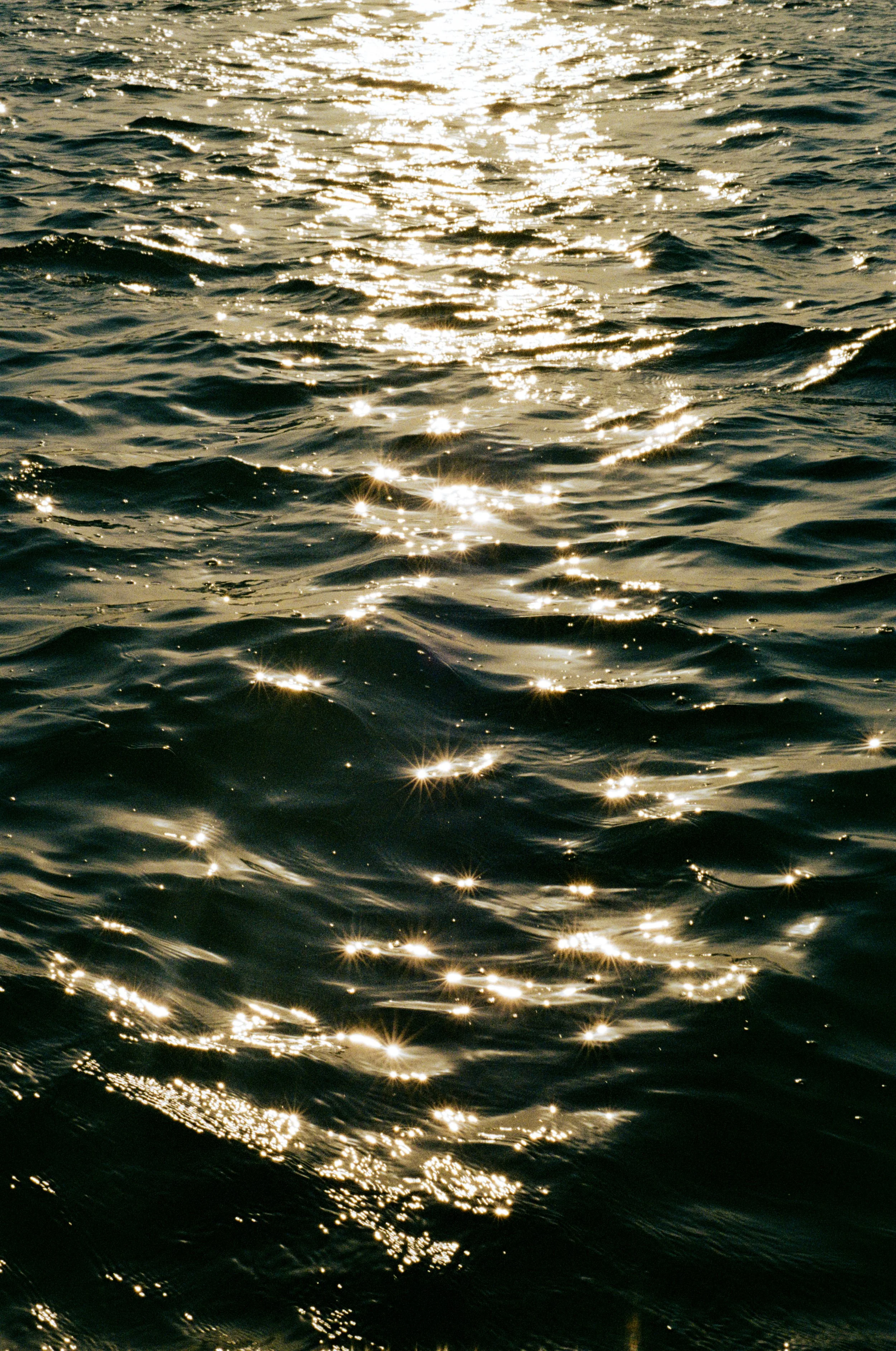 Wedding and elopement photography Melbourne. Wedding photographer Melbourne. Professional wedding photographer Melbourne. Top wedding photographer Melbourne. Editorial and luxury wedding photographer, Melbourne, Victoria, Australia. Highly rated.