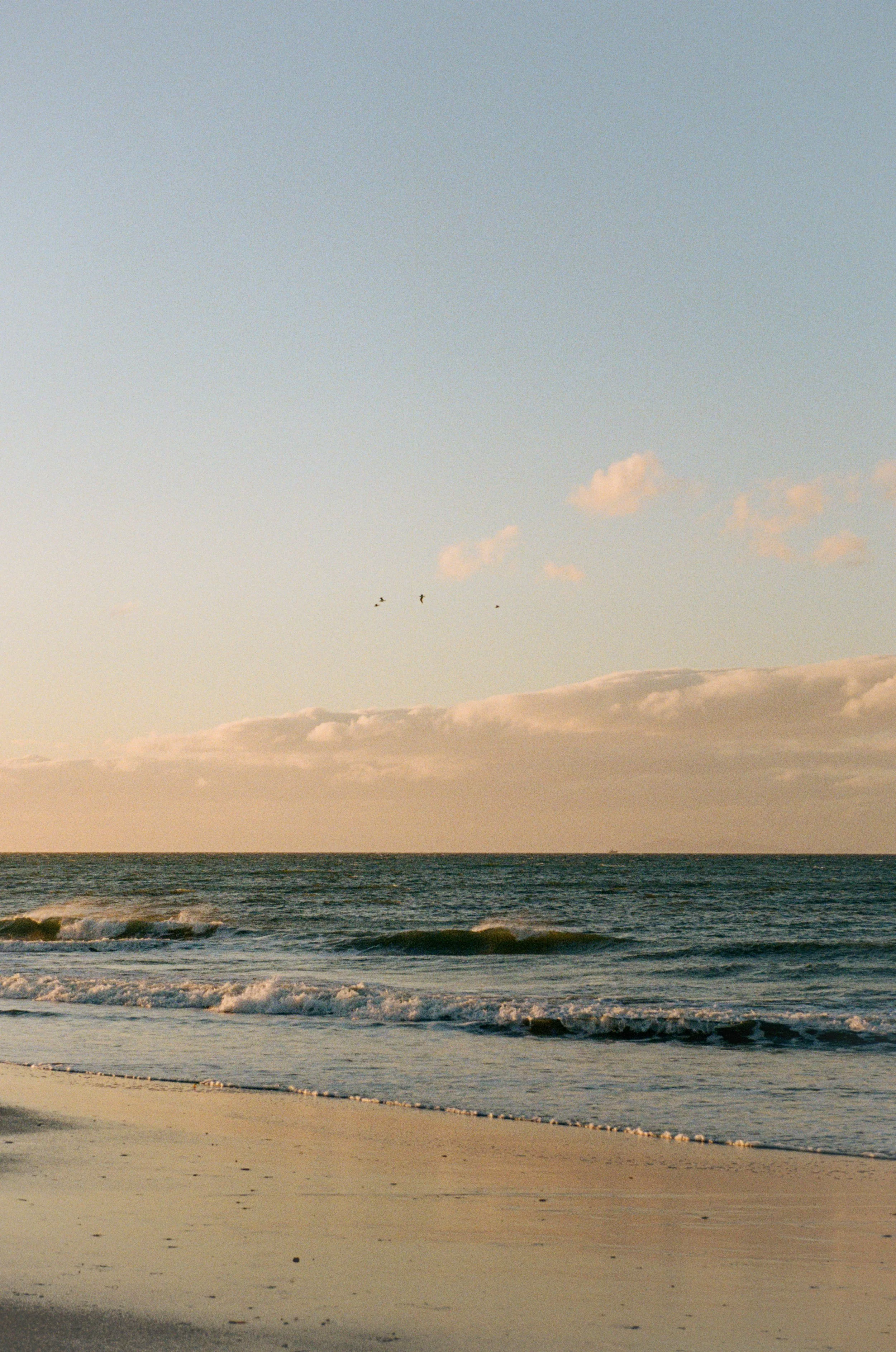 Wedding and elopement photography Melbourne. Wedding photographer Melbourne. Professional wedding photographer Melbourne. Top wedding photographer Melbourne. Editorial and luxury wedding photographer, Melbourne, Victoria, Australia. Highly rated.