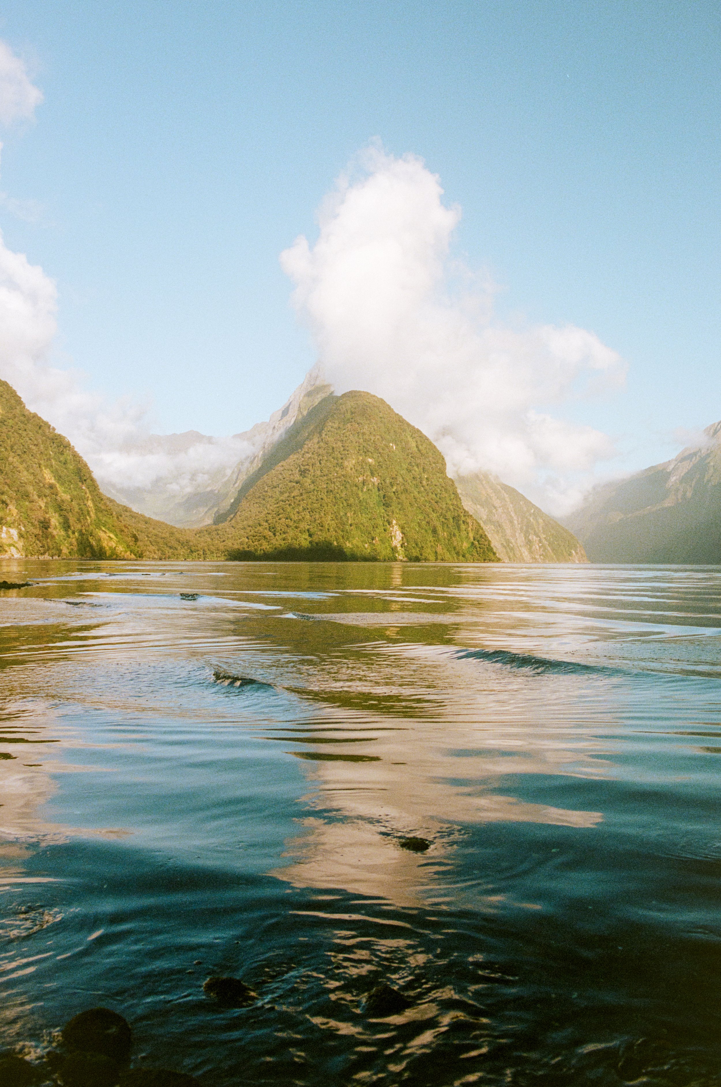 Wedding and elopement photography Melbourne. Wedding photographer Melbourne. Professional wedding photographer Melbourne. Top wedding photographer Melbourne. Editorial and luxury wedding photographer, Melbourne, Victoria, Australia. Highly rated.