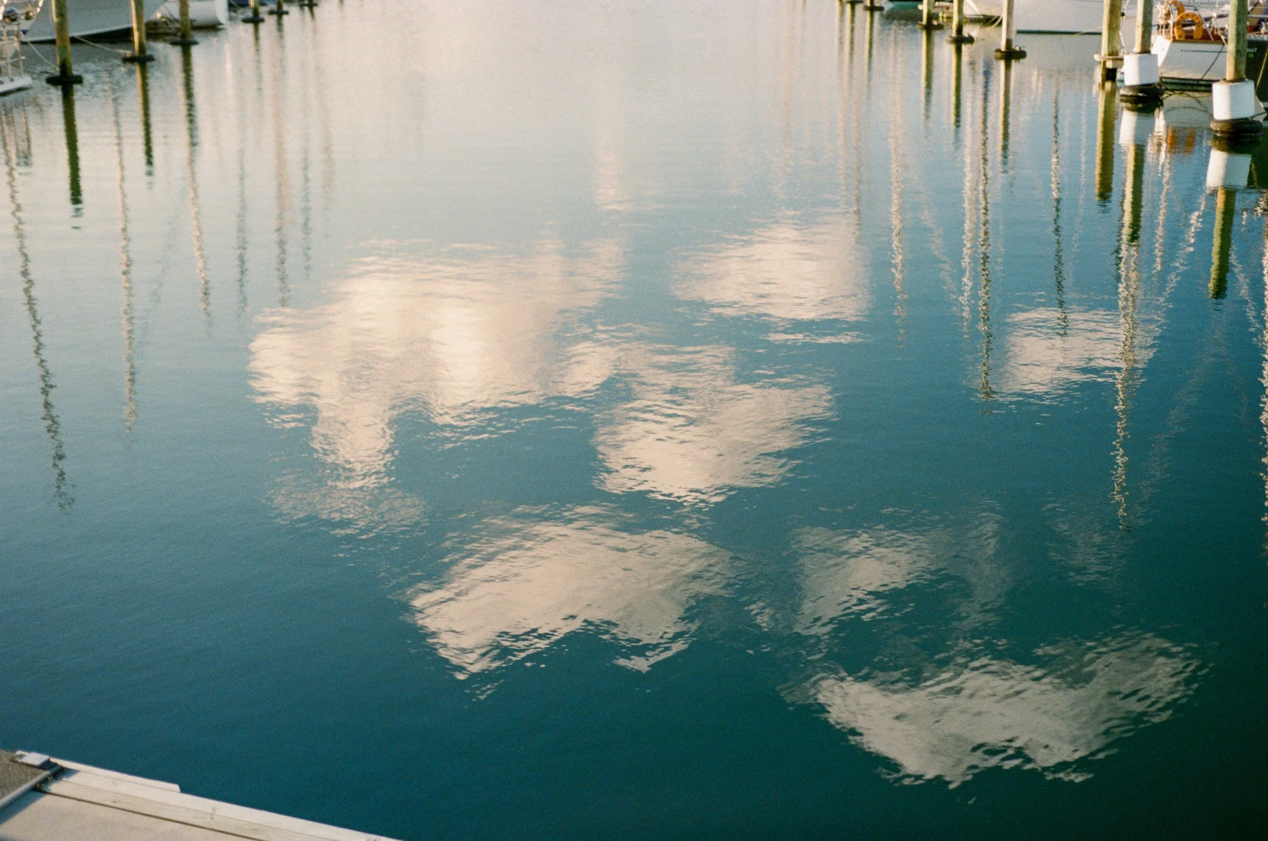 Wedding and elopement photography Melbourne. Wedding photographer Melbourne. Professional wedding photographer Melbourne. Top wedding photographer Melbourne. Editorial and luxury wedding photographer, Melbourne, Victoria, Australia. Highly rated.