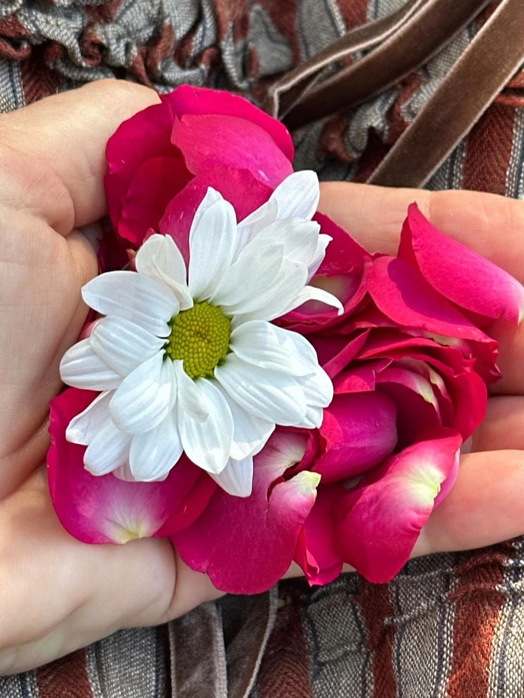 A hand holding a small bouquet of pink rose petals and a white daisy with a yellow center.