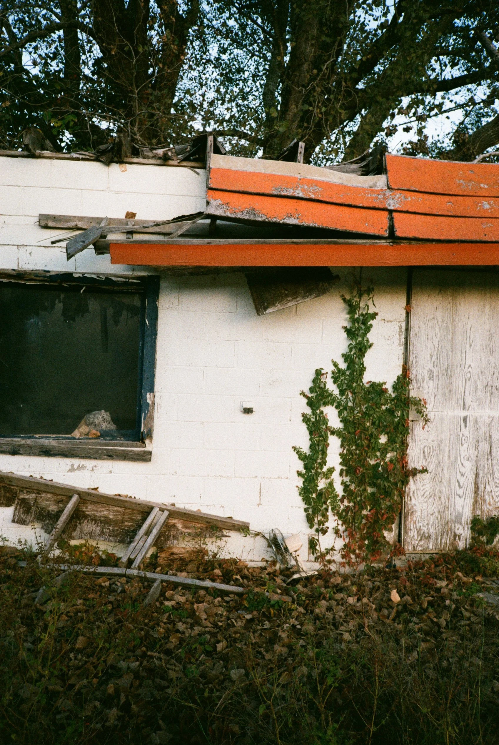 Various photos-17.jpg