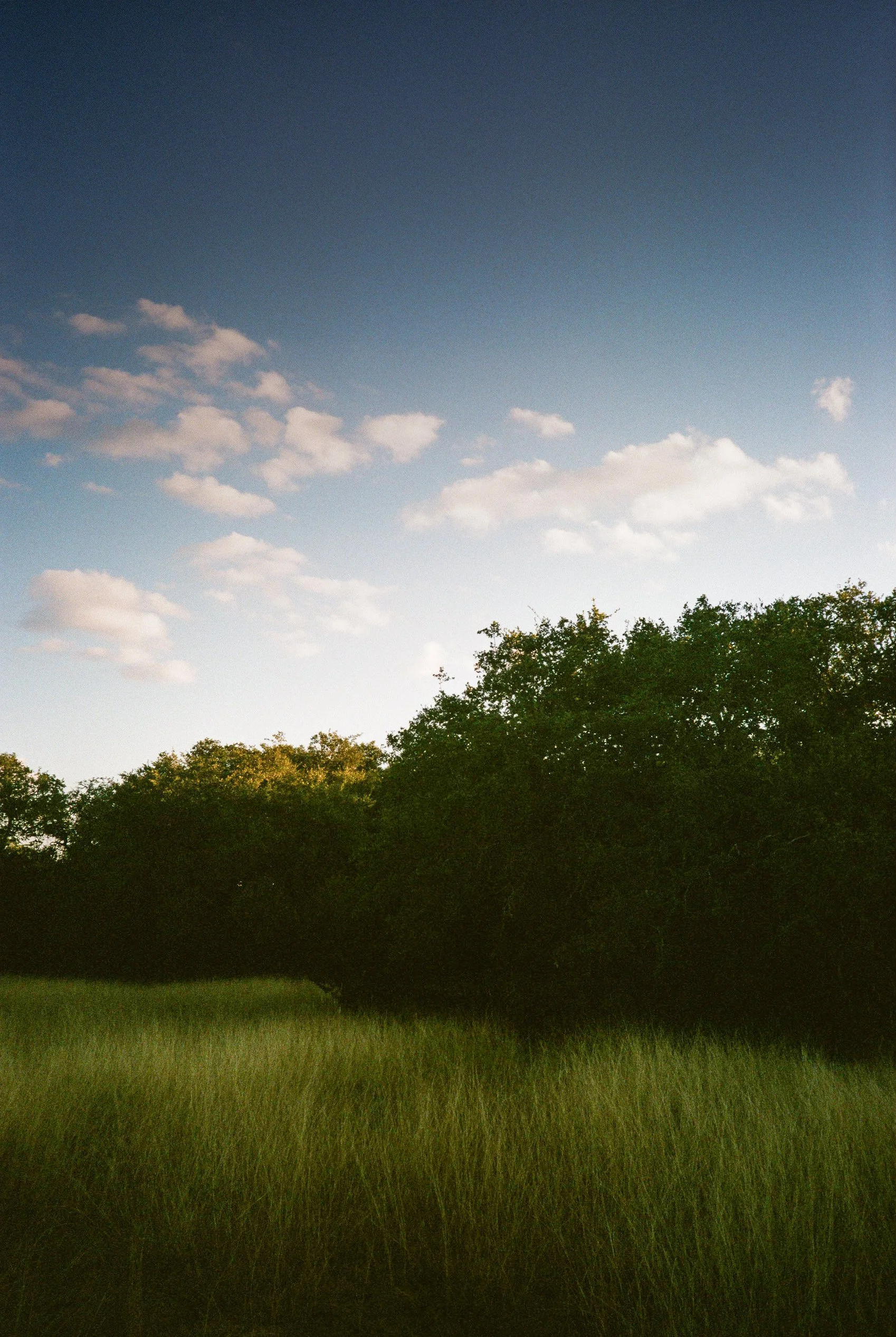 Various photos-07-2.jpg