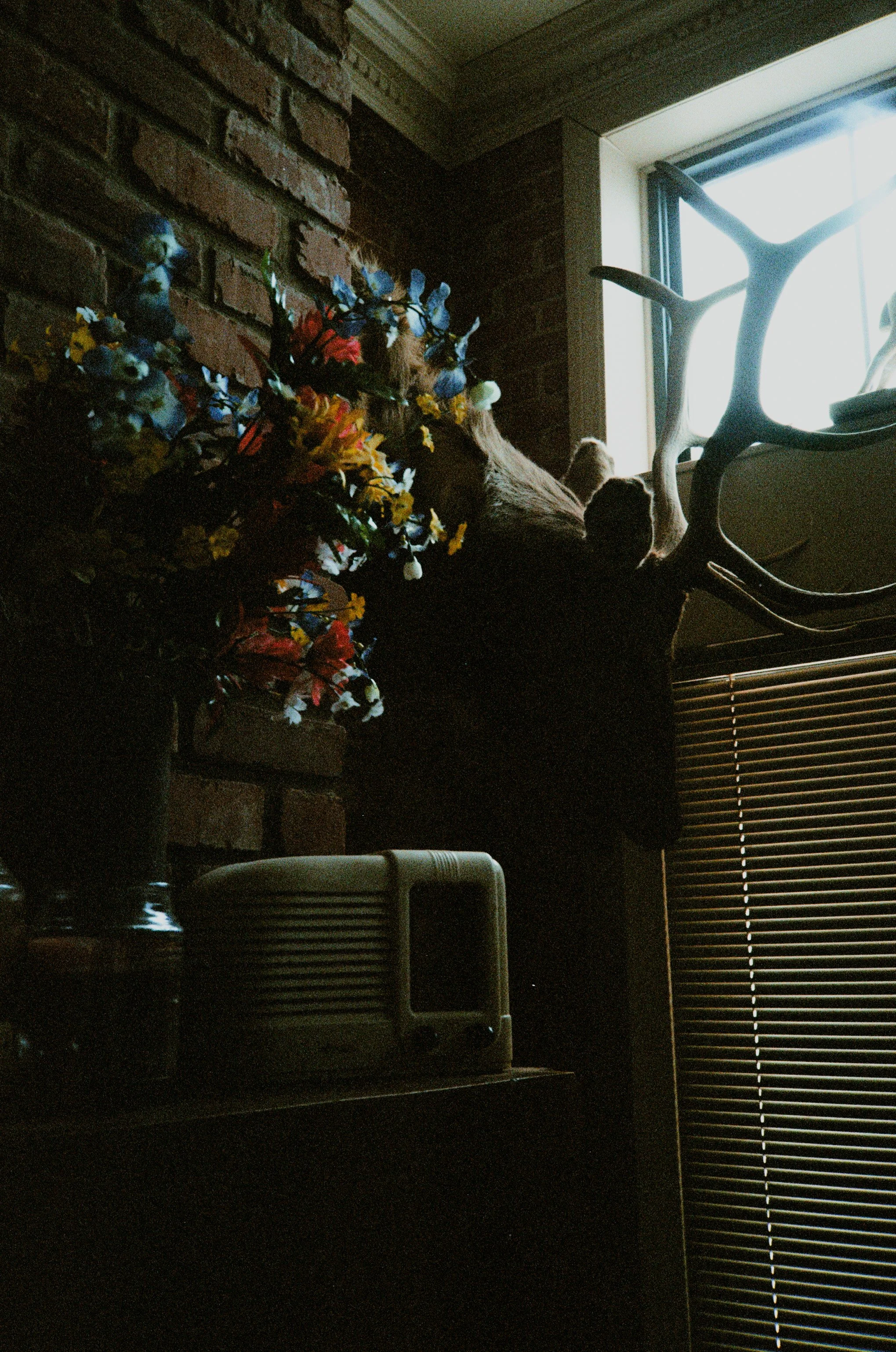 Various photos-04.jpg