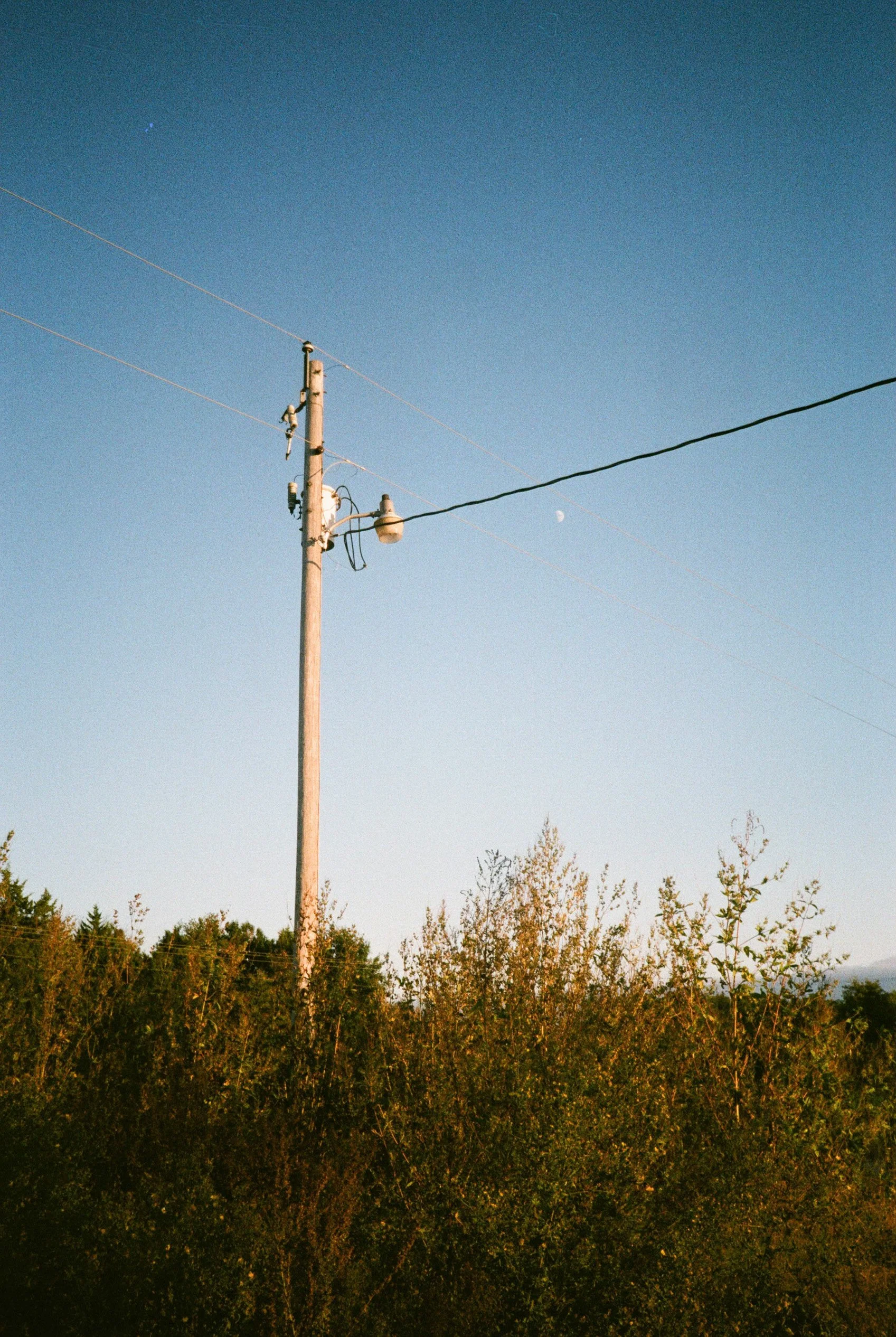 Various photos-15.jpg