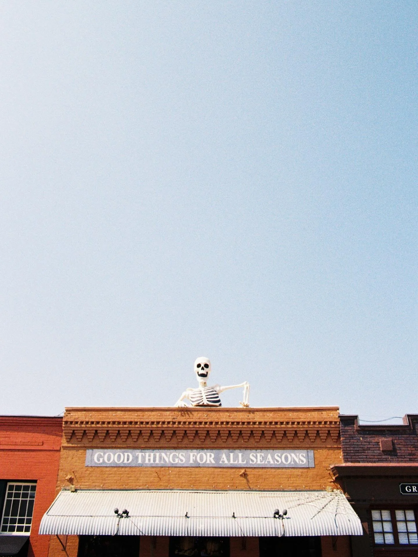 Good Things for All Seasons (2025)